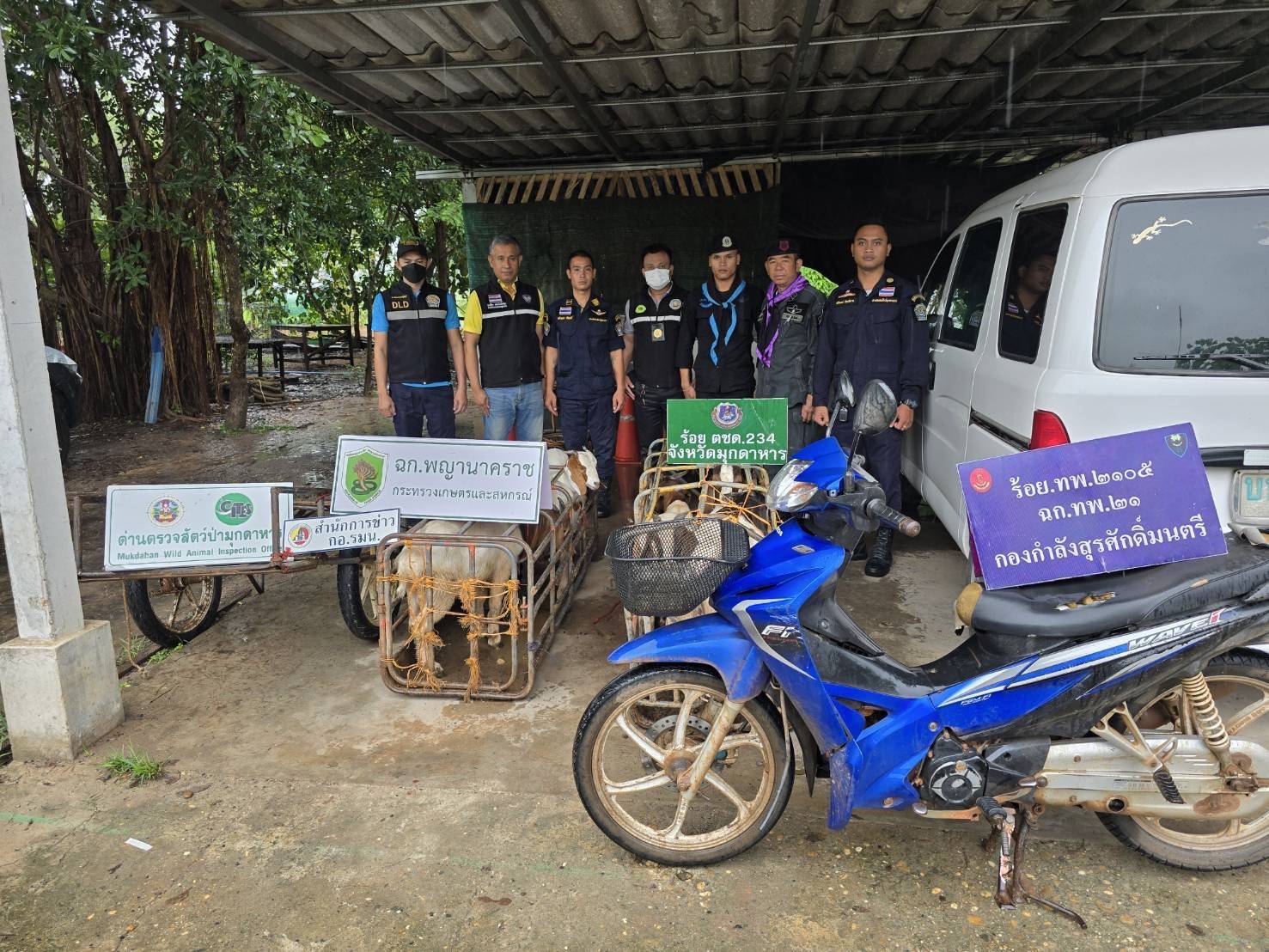 “ฉก.พญานาคราช” จับหมูและแพะเถื่อนในจังหวัดมุกดาหาร 5 3467200