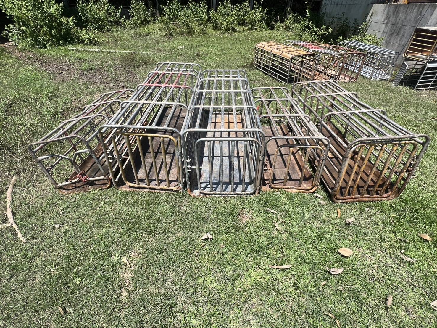 “ฉก.พญานาคราช” จับหมูเถื่อนในจังหวัดมุกดาหาร 5 3473380