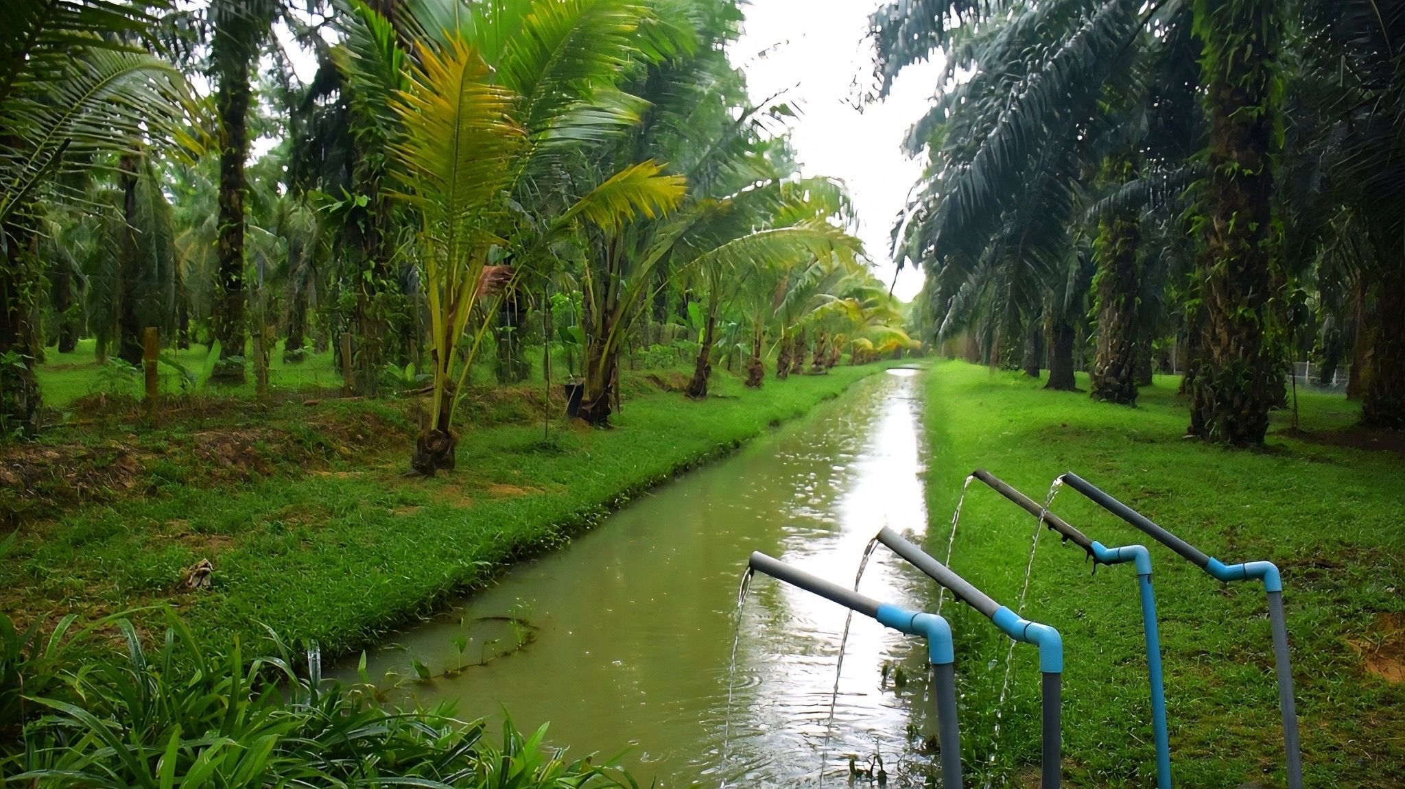 กรมประมง โชว์ผลงานพัฒนาสายพันธุ์สัตว์น้ำเศรษฐกิจปรับโฉม “ปลาหมอชุมพร 1” ให้รูปร่าง แบน หนา ดูมีขนาดใหญ่ตอบโจทย์เทรนด์ตลาดยุคใหม่ เกษตรกรเลี้ยงเชิงพาณิชย์ได้คุ้มค่า ราคาดี 10 449561