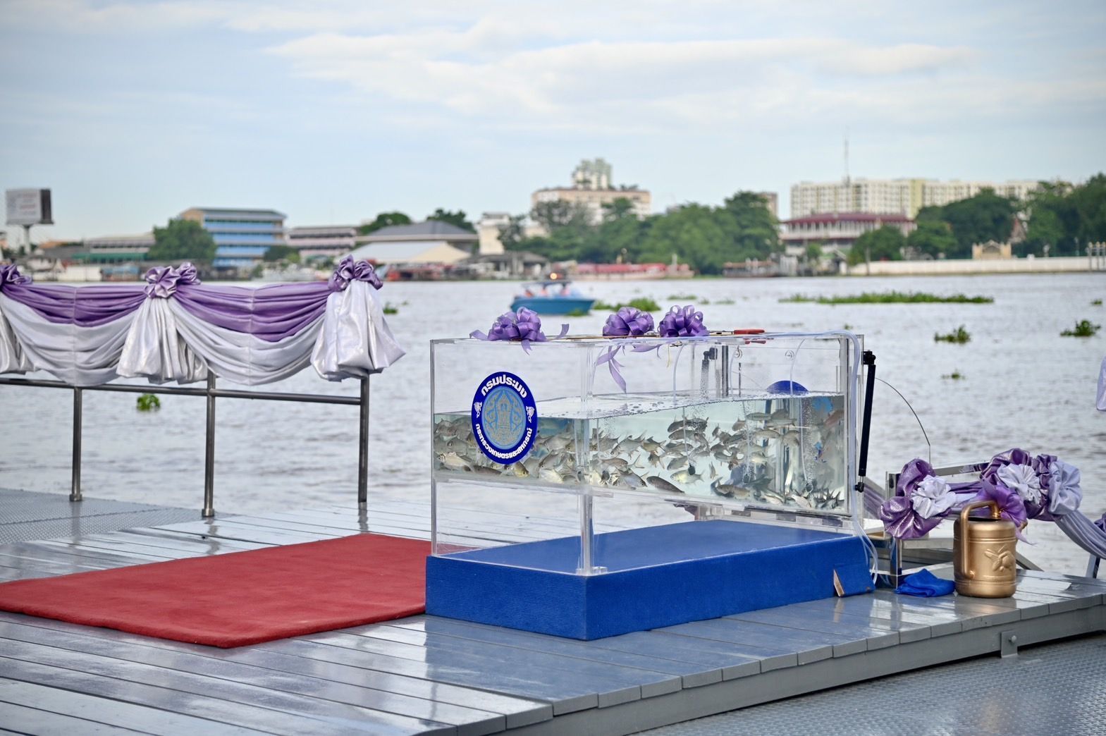 กรมประมง ดำเนินโครงการฟื้นฟูแหล่งน้ำและปล่อยพันธุ์สัตว์น้ำเนื่องในวันเฉลิมพระชนมพรรษา 47 พรรษาสมเด็จพระนางเจ้าสุทิดา พัชรสุธาพิมลลักษณ พระบรมราชินี 4 450558