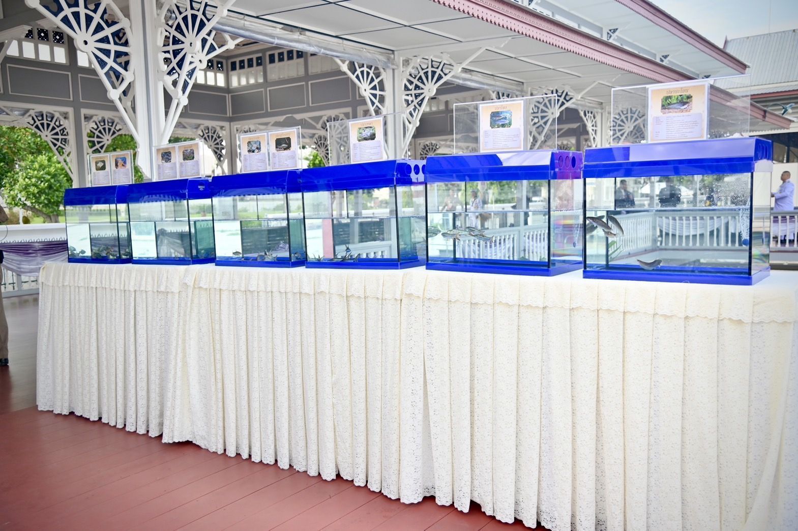 กรมประมง ดำเนินโครงการฟื้นฟูแหล่งน้ำและปล่อยพันธุ์สัตว์น้ำเนื่องในวันเฉลิมพระชนมพรรษา 47 พรรษาสมเด็จพระนางเจ้าสุทิดา พัชรสุธาพิมลลักษณ พระบรมราชินี 6 450560ส