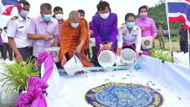 กรมประมง ดำเนินโครงการฟื้นฟูแหล่งน้ำและปล่อยพันธุ์สัตว์น้ำเนื่องในวันเฉลิมพระชนมพรรษา 47 พรรษาสมเด็จพระนางเจ้าสุทิดา พัชรสุธาพิมลลักษณ พระบรมราชินี 12 450607