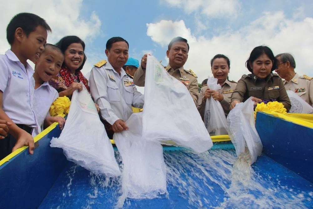 กรมประมง ดำเนินโครงการฟื้นฟูแหล่งน้ำและปล่อยพันธุ์สัตว์น้ำเนื่องในวันเฉลิมพระชนมพรรษา 47 พรรษาสมเด็จพระนางเจ้าสุทิดา พัชรสุธาพิมลลักษณ พระบรมราชินี 13 450608