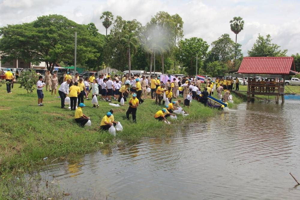 กรมประมง ดำเนินโครงการฟื้นฟูแหล่งน้ำและปล่อยพันธุ์สัตว์น้ำเนื่องในวันเฉลิมพระชนมพรรษา 47 พรรษาสมเด็จพระนางเจ้าสุทิดา พัชรสุธาพิมลลักษณ พระบรมราชินี 14 450609