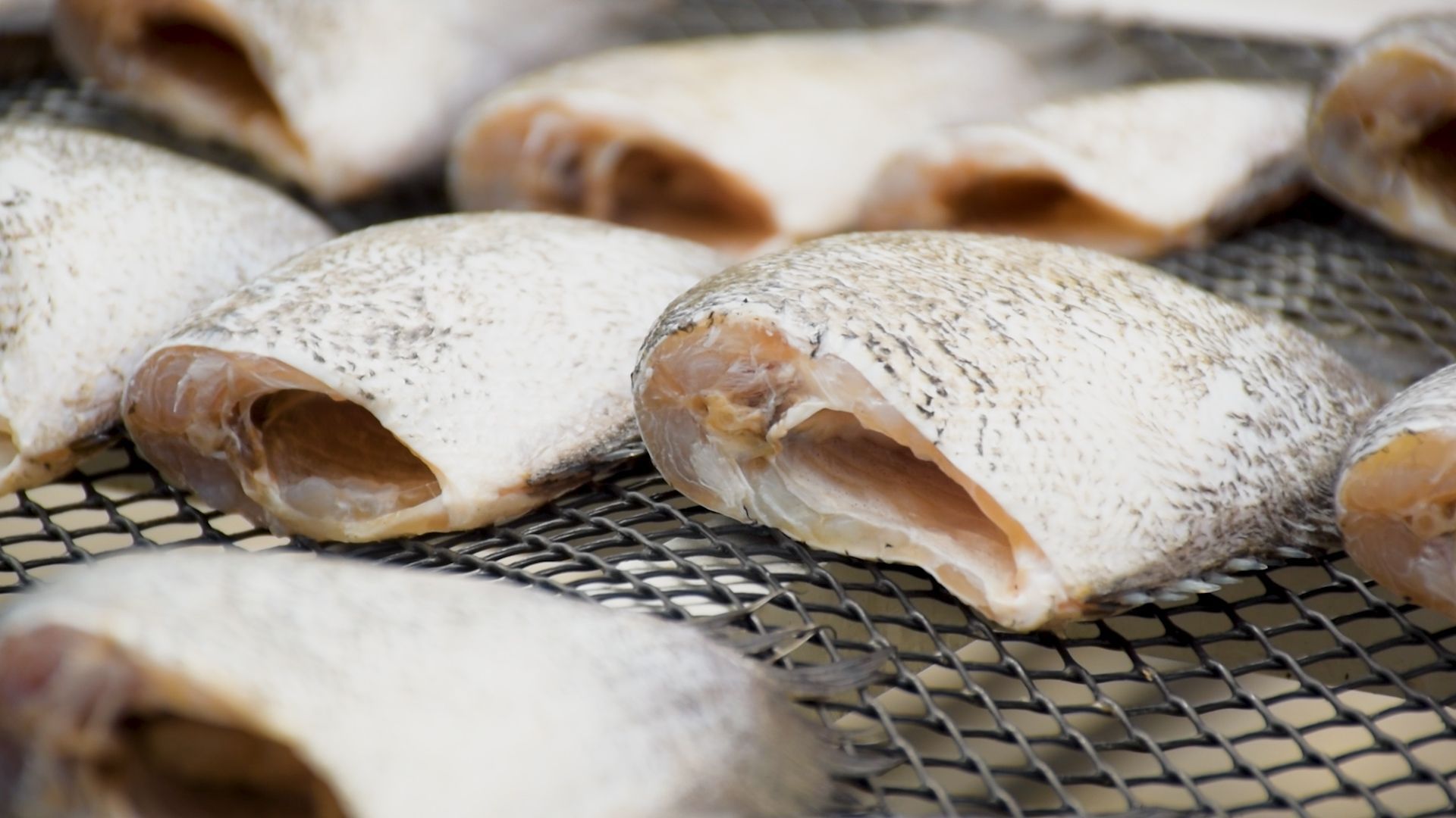 กรมประมง หนุน “เกษตรกรสร้างรายได้เสริมจากการแปรรูปสัตว์น้ำ” ยกระดับการประกอบอาชีพให้มีความมั่นคงอย่างยั่งยืน 7 459958