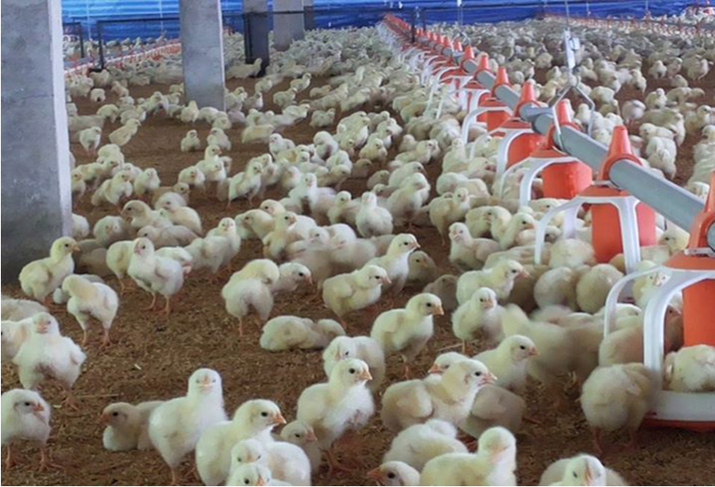 463399912 2664193240431383 1059907638792281450 n