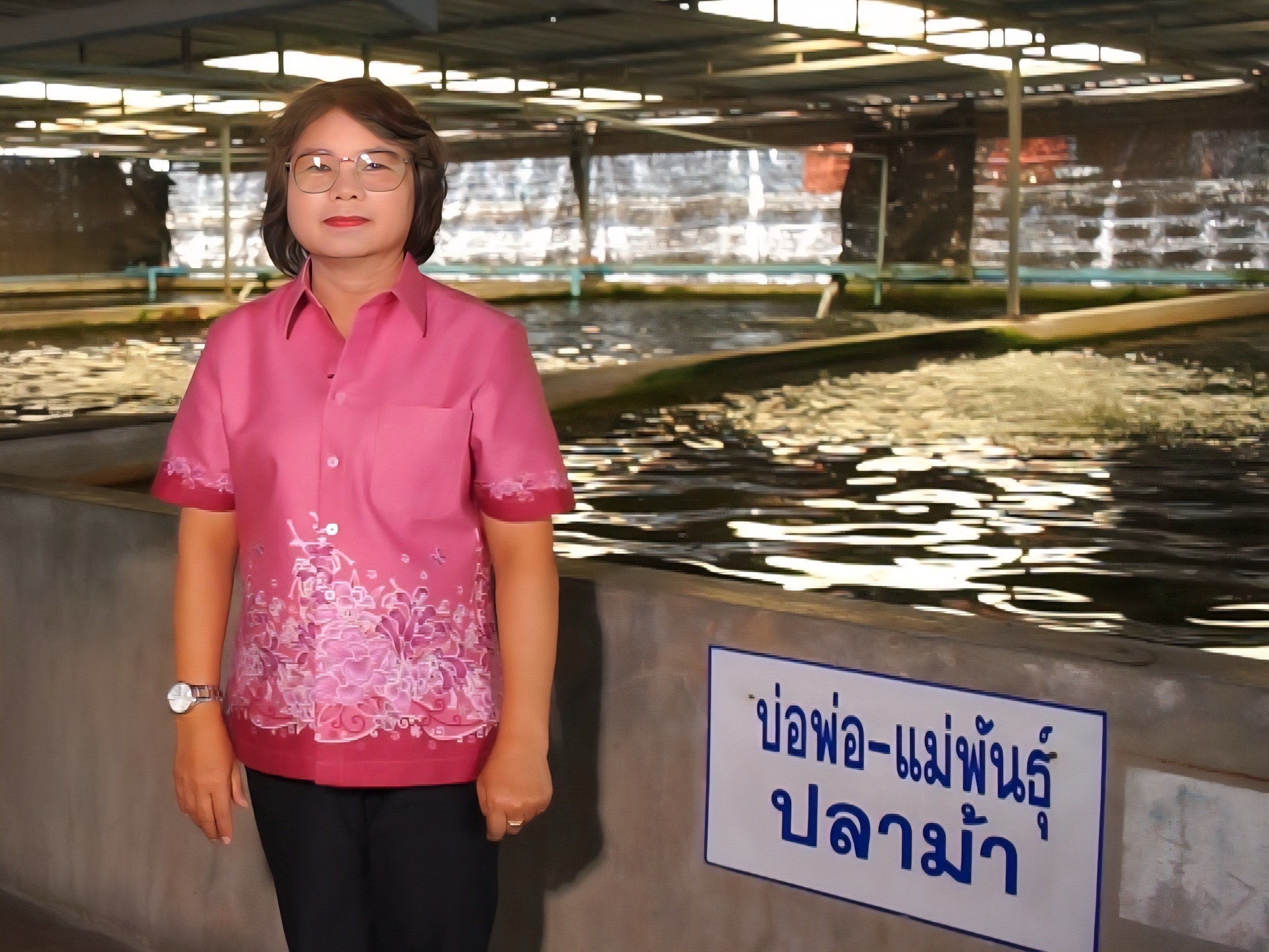 กรมประมงดัน ปลาม้า ราชาปลาแห่ง จ.สุพรรณบุรีสินค้าเกษตรอัตลักษณ์พื้นถิ่น สู่สัตว์น้ำเศรษฐกิจทางเลือกใหม่เร่งเสริมศักยภาพการแข่งขันให้เกษตรกร เล็งขยายผลเพิ่มการเพาะเลี้ยงเชิงพาณิชย์ 5 472401