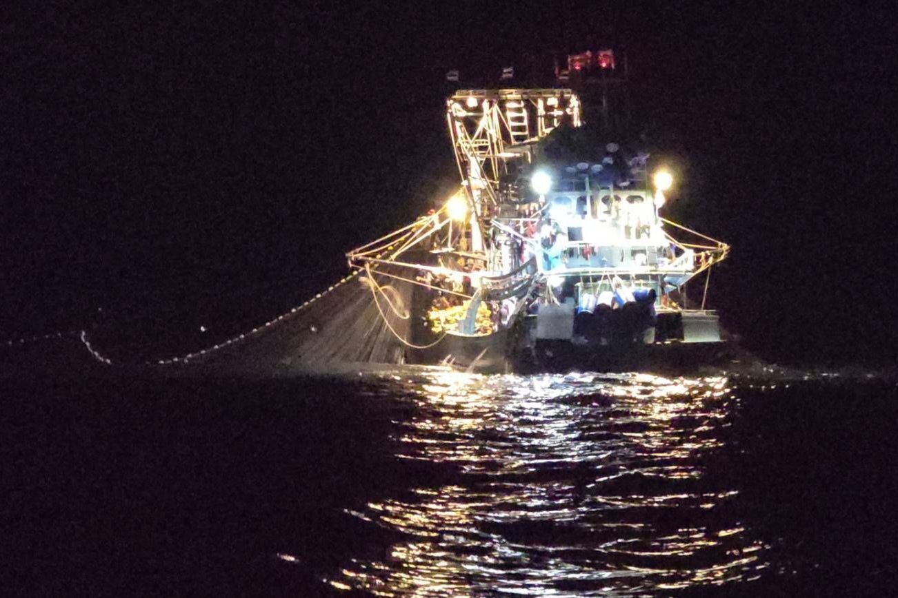 ชาวประมง เฮ หลังสิ้นสุดมาตรการปิดอ่าวไทยเรือประมงสามารถจับปลาลัง - ปลาทู คืนแรกได้สูงสุดถึง 10,000 กิโลกรัมมูลค่ากว่า 5 แสนบาท 6 475616