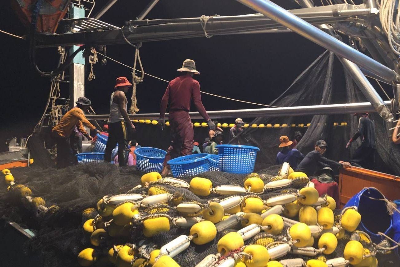 ชาวประมง เฮ หลังสิ้นสุดมาตรการปิดอ่าวไทยเรือประมงสามารถจับปลาลัง - ปลาทู คืนแรกได้สูงสุดถึง 10,000 กิโลกรัมมูลค่ากว่า 5 แสนบาท 7 475617