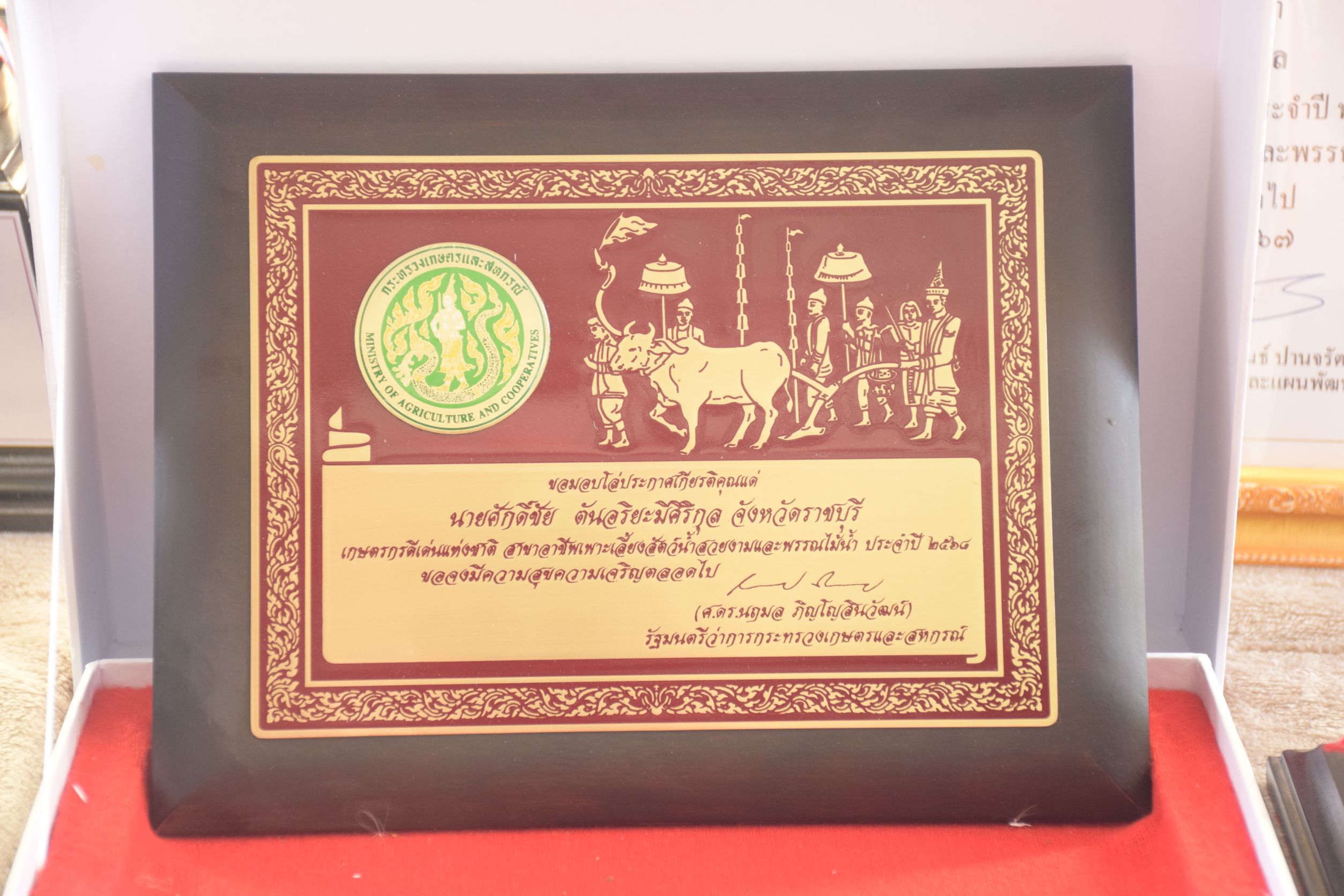 กรมประมงชู ‘ศักดิ์ชัย ตันอริยะมีศิริกุล’ ต้นแบบเกษตรกรดีเด่นนำนวัตกรรมยกระดับการเพาะเลี้ยงปลาสวยงามไทย สู่ตลาดโลก 5 478371