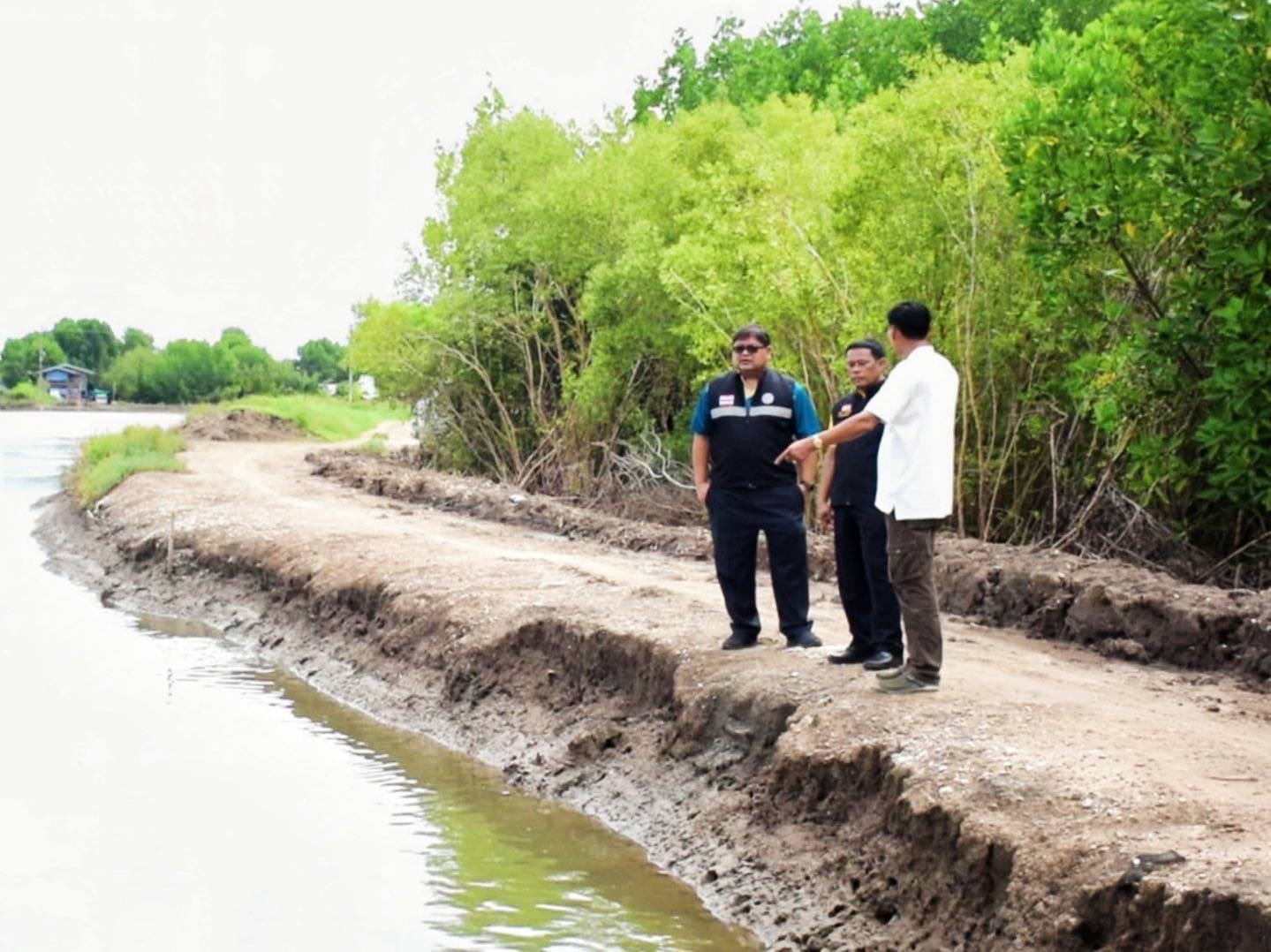 กรมประมงหนุนเกษตรกรเปลี่ยน “บ่อกุ้งร้าง” เพื่อสร้างรายได้ด้วยการเลี้ยง “ปูทะเล”ชูทางเลือกใหม่ในการประกอบอาชีพที่มั่นคงและยั่งยืน 9 479312