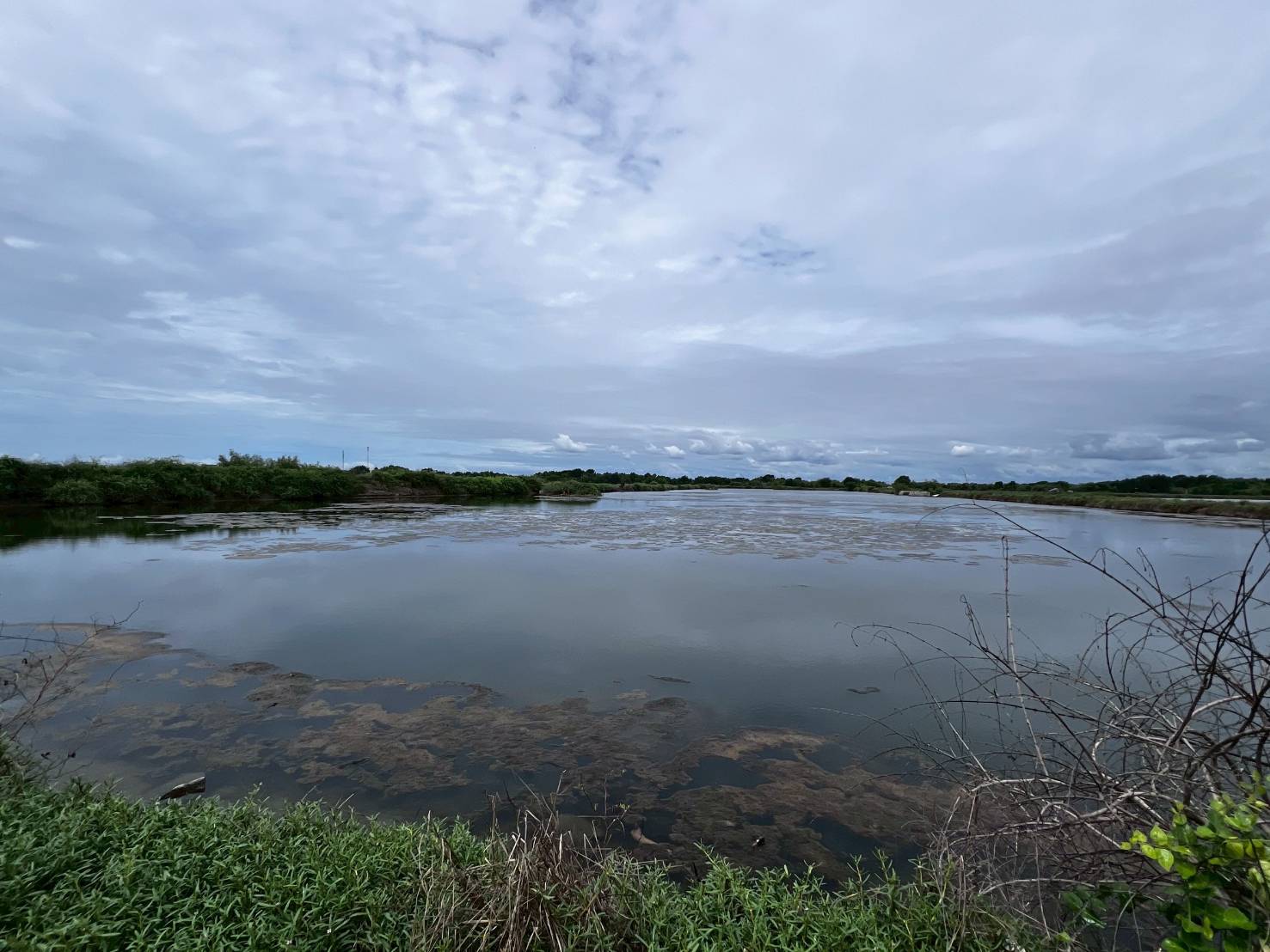 กรมประมงหนุนเกษตรกรเปลี่ยน “บ่อกุ้งร้าง” เพื่อสร้างรายได้ด้วยการเลี้ยง “ปูทะเล”ชูทางเลือกใหม่ในการประกอบอาชีพที่มั่นคงและยั่งยืน 12 479315