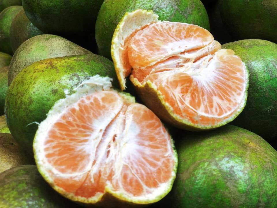 ชวนทาน… 48377711 2194648717417852 2013688531897024512 n