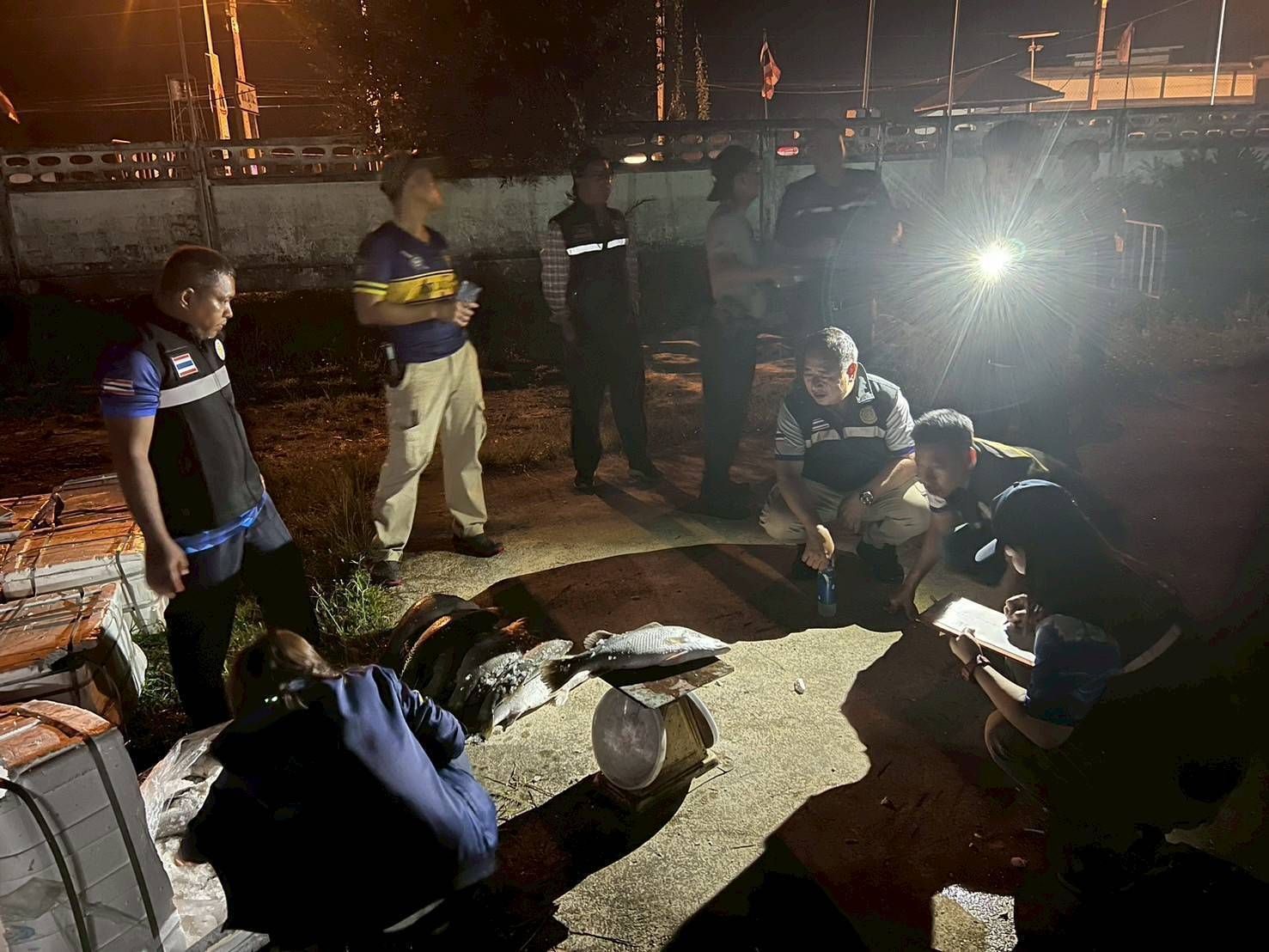 กรมประมงสกัดจับผู้ลักลอบนำเข้าปลากะพงขาวจำนวน 7,536 กิโลกรัม มูลค่ากว่า 6 แสนบาท ได้ที่ด่านสุไหงโกลก 12 487486