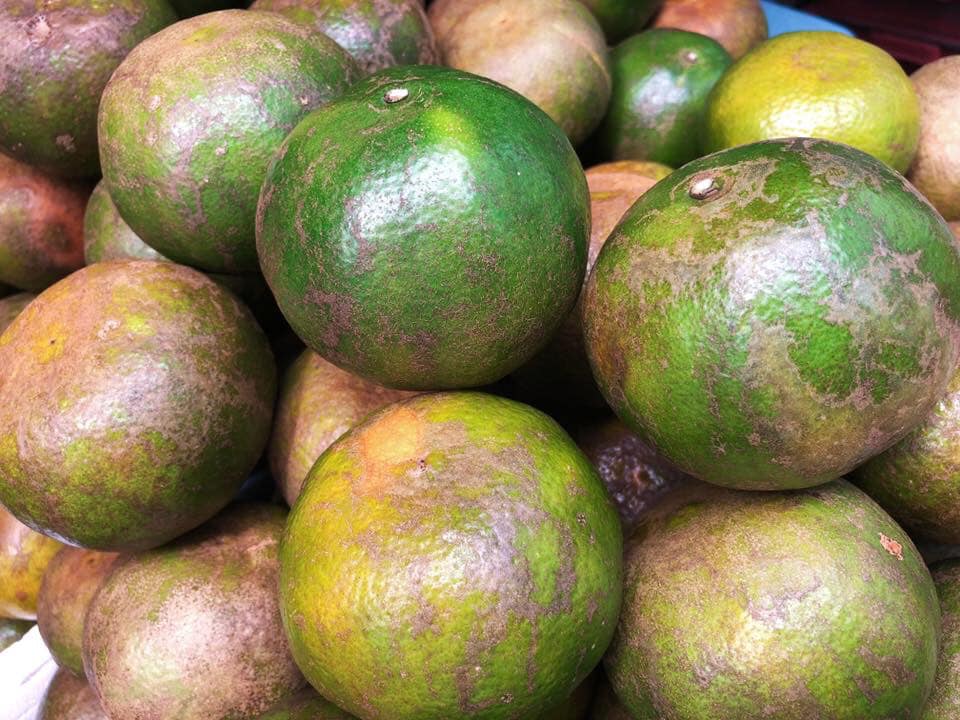 ชวนทาน… 49067556 2194648724084518 2410168602352156672 n