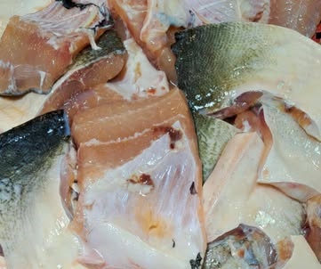 497851015 2654343054763370 144608495163840603 n