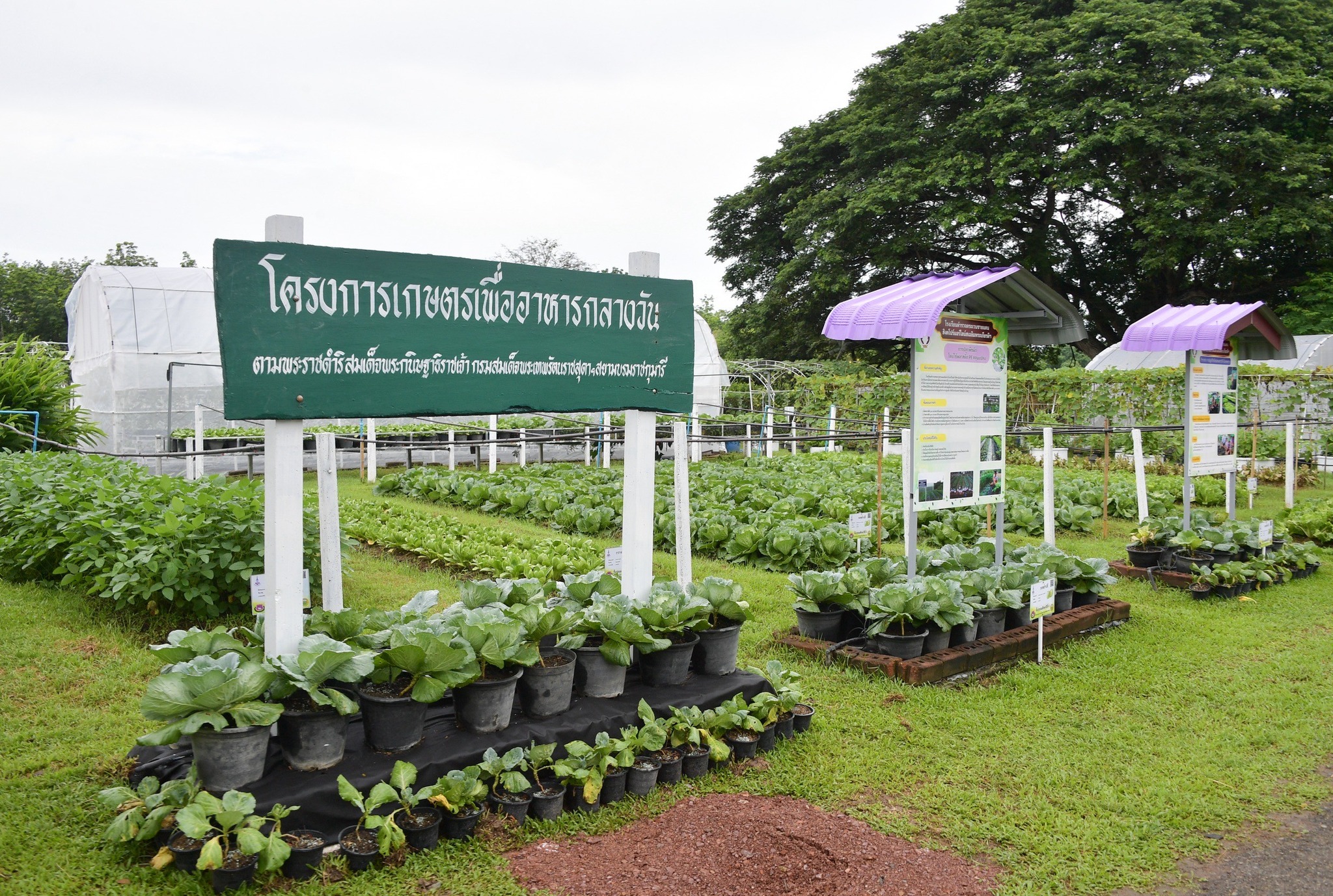 กรมชลประทานรับเสด็จฯ สมเด็จพระกนิษฐาธิราชเจ้า กรมสมเด็จพระเทพรัตนราชสุดาฯ สยามบรมราชกุมารี เสด็จพระราชดำเนินไปทรงปฏิบัติพระราชกรณียกิจในพื้นที่จังหวัดจันทบุรี 6 503389182 1113463580828245 92196116062068925 n