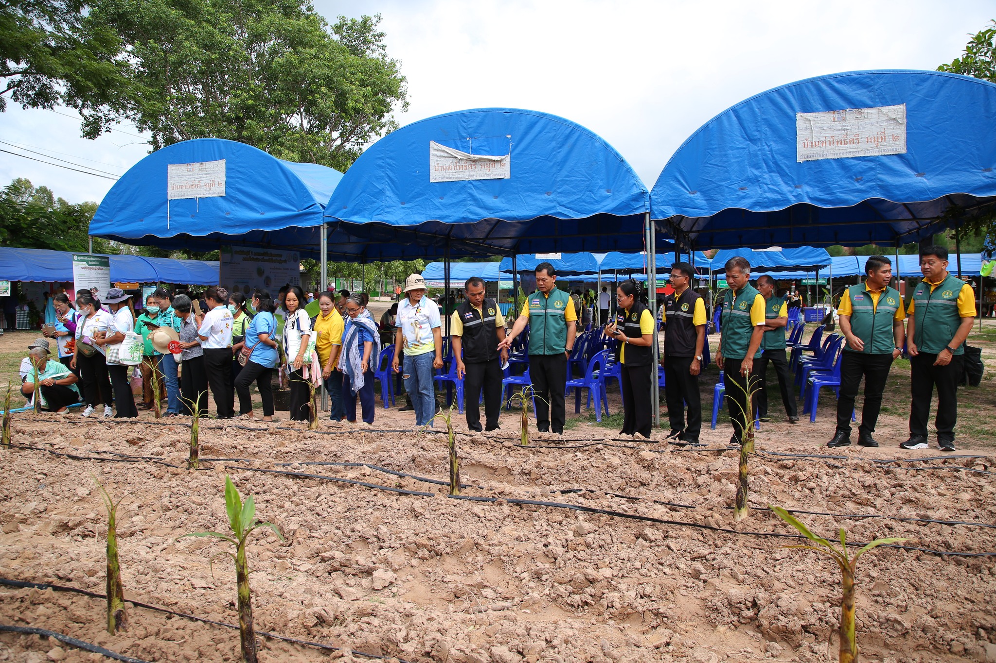 กระทรวงเกษตรฯ จัดใหญ่ Field Day กล้วยหอมทองอุบลฯ เตรียมความพร้อมเกษตรกร 4 จังหวัดอีสานใต้ สู่ฤดูกาลผลิตใหม่ 12 505821042 1083422373893727 124917404097939532 n