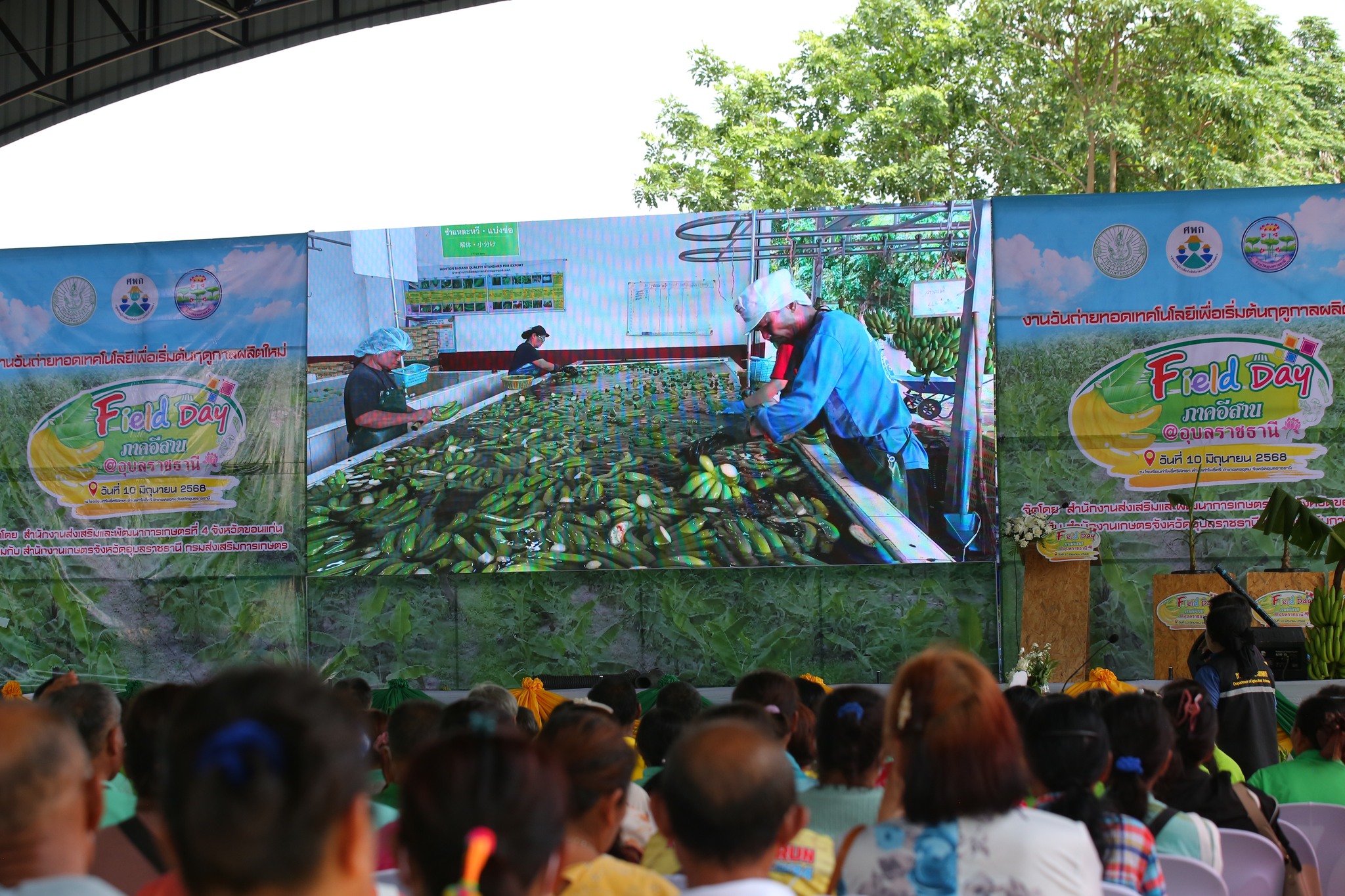 กระทรวงเกษตรฯ จัดใหญ่ Field Day กล้วยหอมทองอุบลฯ เตรียมความพร้อมเกษตรกร 4 จังหวัดอีสานใต้ สู่ฤดูกาลผลิตใหม่ 14 505907388 1083423167226981 1527685247399661734 n