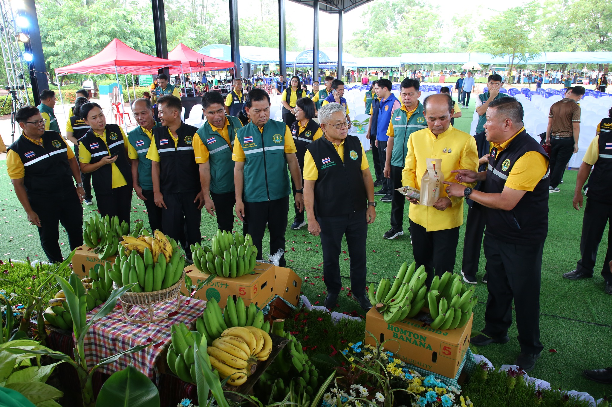 กระทรวงเกษตรฯ จัดใหญ่ Field Day กล้วยหอมทองอุบลฯ เตรียมความพร้อมเกษตรกร 4 จังหวัดอีสานใต้ สู่ฤดูกาลผลิตใหม่ 3 506047925 1083423800560251 3878087969672640928 n