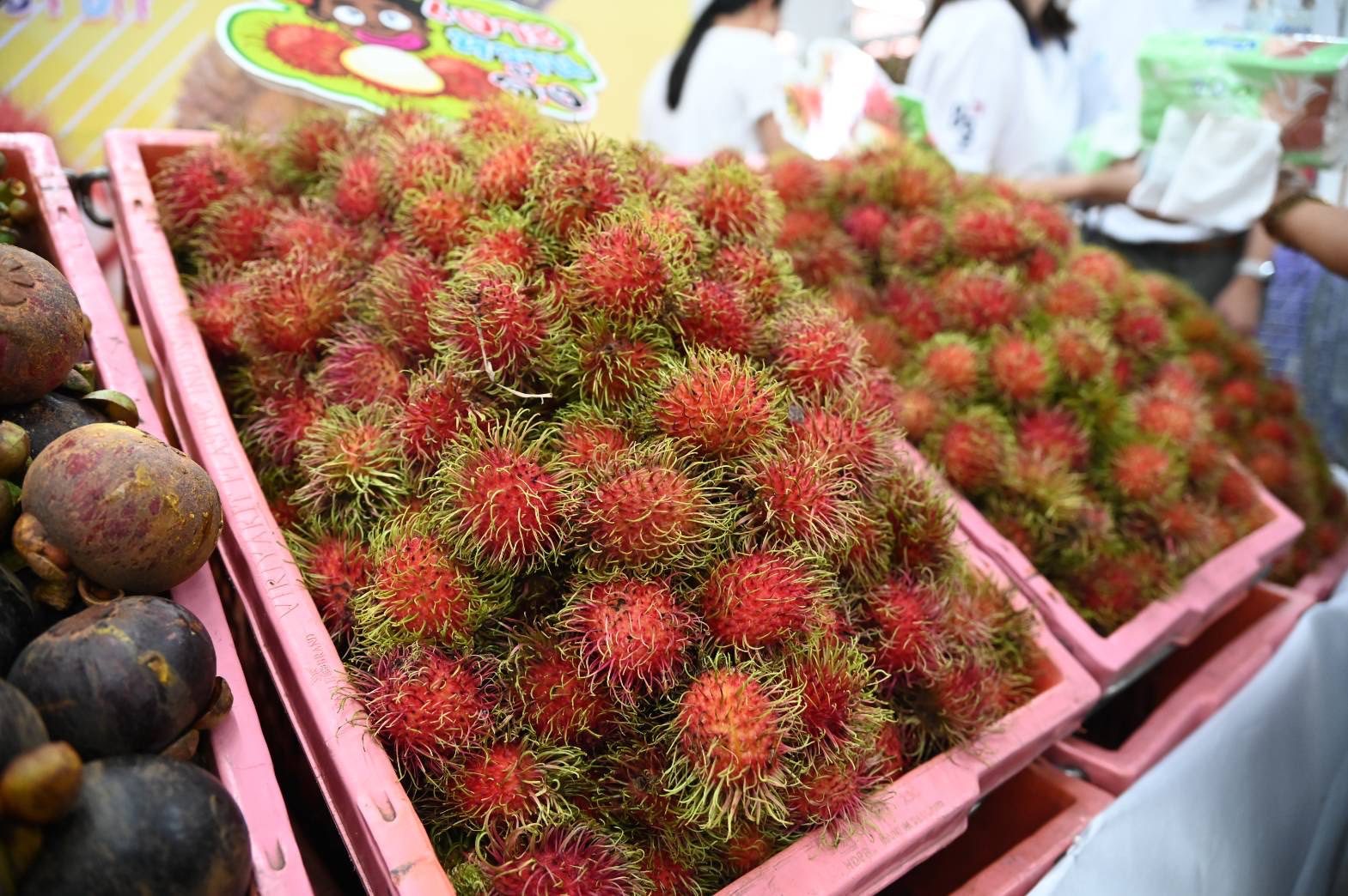 “พาณิชย์” เปิดเกมรุกผลไม้ใต้ จัดใหญ่ Thai Fruits Festival 2025 กลางงาน Phuket City PRIDE ภูเก็ต ดันมังคุดนครฯ บุกตลาดนักท่องเที่ยว พร้อมเร่งเปิดช่องทางขายออนไลน์ทั่วประเทศ 7 514352549 1312087507150453 7908122071972099885 n