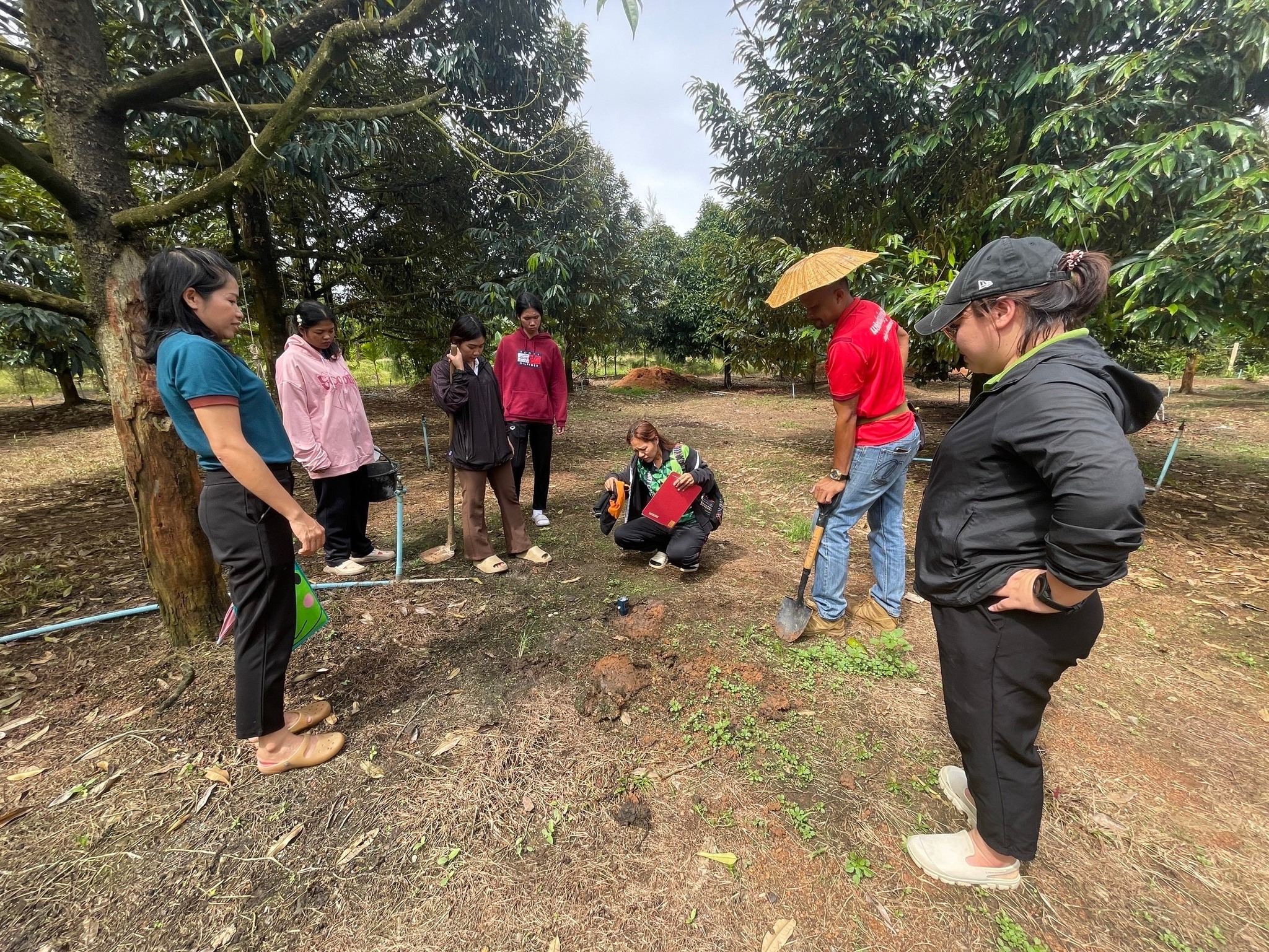 กรมส่งเสริมการเกษตร เดินหน้าเตรียมพร้อมรับมือภัยน้ำท่วมในพื้นที่เกษตรตามความเปราะบางของแต่ละพื้นที่ เสริมแผน 4 ระยะ ลดผลกระทบเกษตรกร 5 6