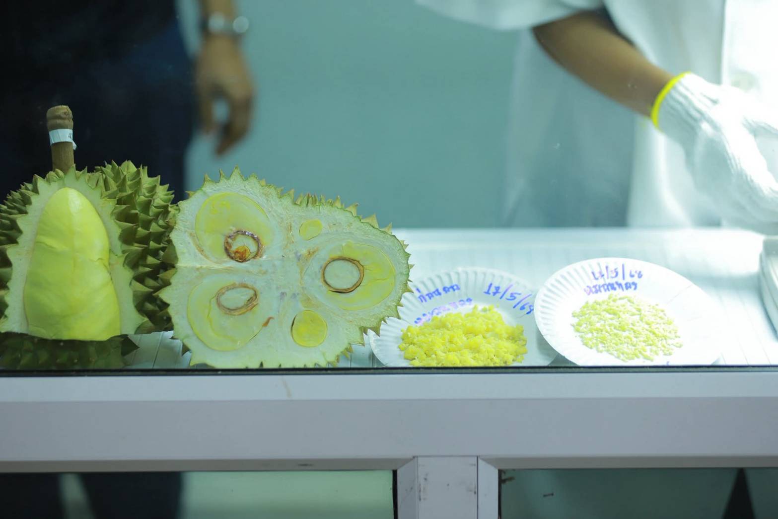 กรมส่งเสริมการเกษตร เดินหน้า 8 มาตรการเข้ม ส่งเสริมไม้ผลคุณภาพ ภาคเหนือและภาคใต้ ปีการผลิต 2568/69 5 673341