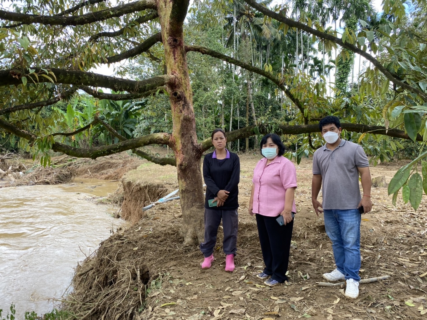 กรมส่งเสริมการเกษตร เดินหน้าเตรียมพร้อมรับมือภัยน้ำท่วมในพื้นที่เกษตรตามความเปราะบางของแต่ละพื้นที่ เสริมแผน 4 ระยะ ลดผลกระทบเกษตรกร 6 7 1