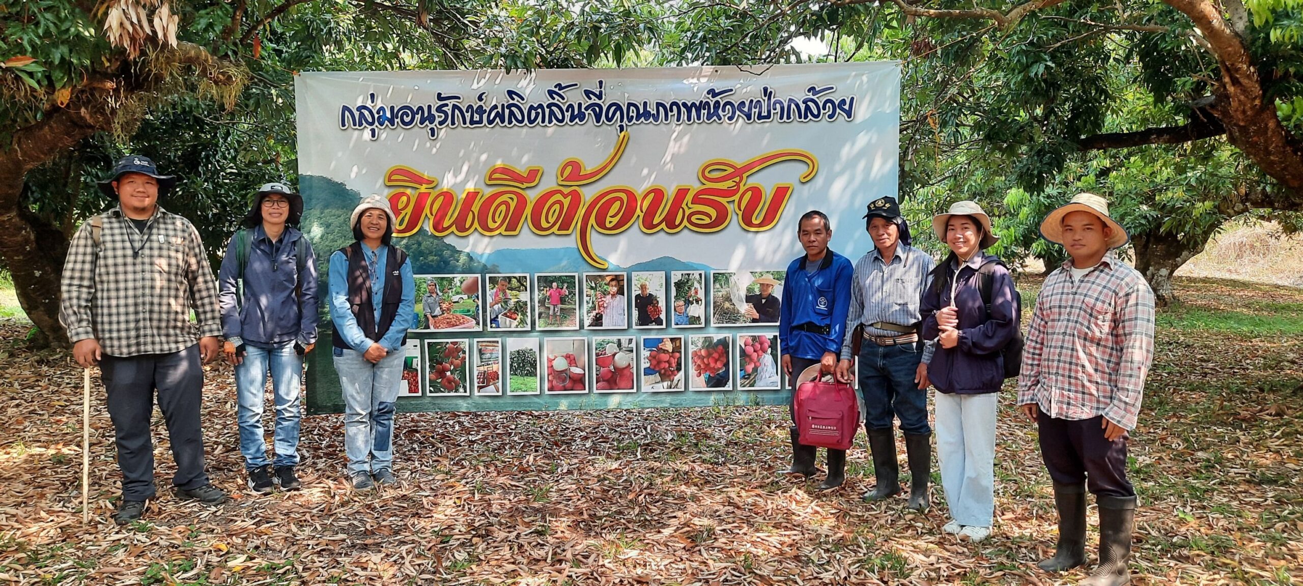 ลิ้นจี่ลูกผสมพันธุ์ดีเด่น จากงานวิจัยสู่การใช้ประโยชน์จริง มุ่งสร้างรายได้ให้เกษตรกรไทย 5 880715 1 scaled