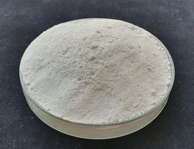 สู้ โรคเหี่ยวในพืชผัก ด้วยชีวภัณฑ์แบคทีเรียดีๆ จากกรมวิชาการเกษตร 5 882365