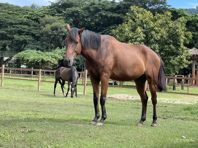 9e00376c b8ff 495c b59e 8de334bac1a0