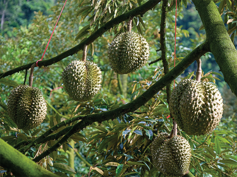 Detail th 1661504951