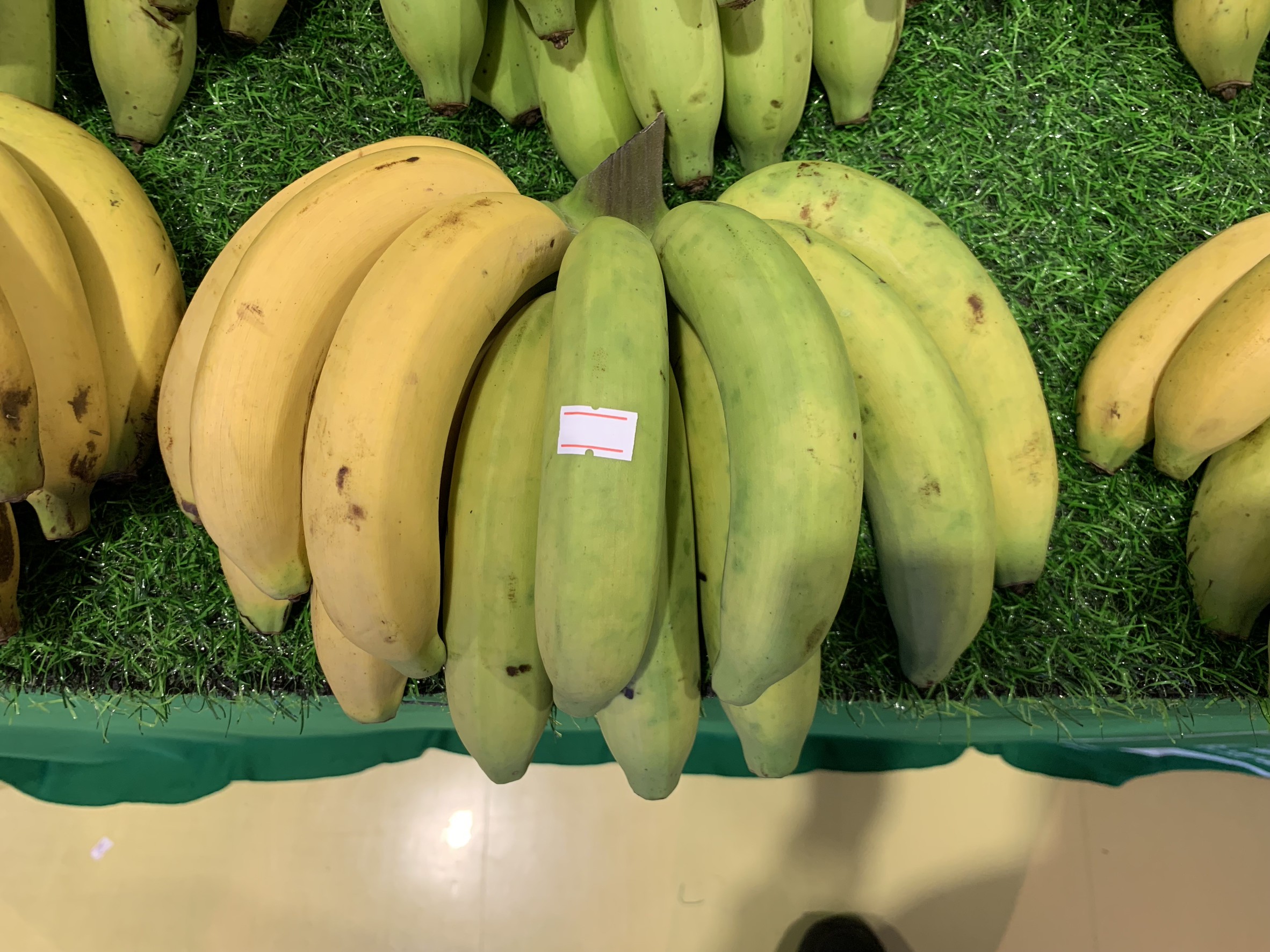 สศท.5 ชูผลสำเร็จ “กลุ่มปลูกกล้วยหอมทองเพื่อการส่งออกหนองบัวแดง” จ.ชัยภูมิ ผลิตกล้วยหอมทอง GI ส่งออก สร้างรายได้กลุ่มกว่าปีละ 36 ล้านบาท 6 F1BA32C9 F76C 4D31 A5FB 139AC4AEB91C 0 1