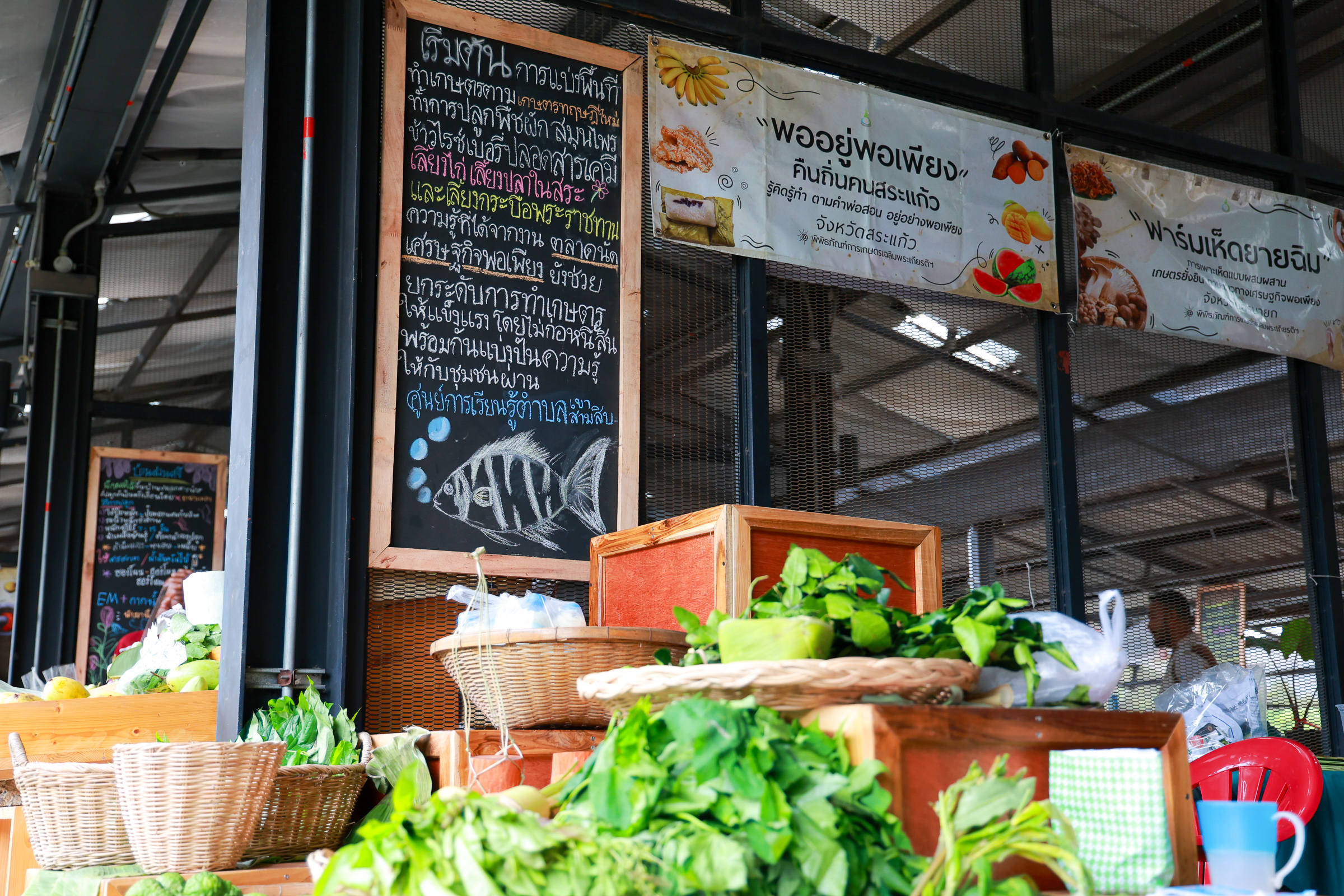 พิพิธภัณฑ์การเกษตรฯ ชวนเที่ยวงาน IMG 7292