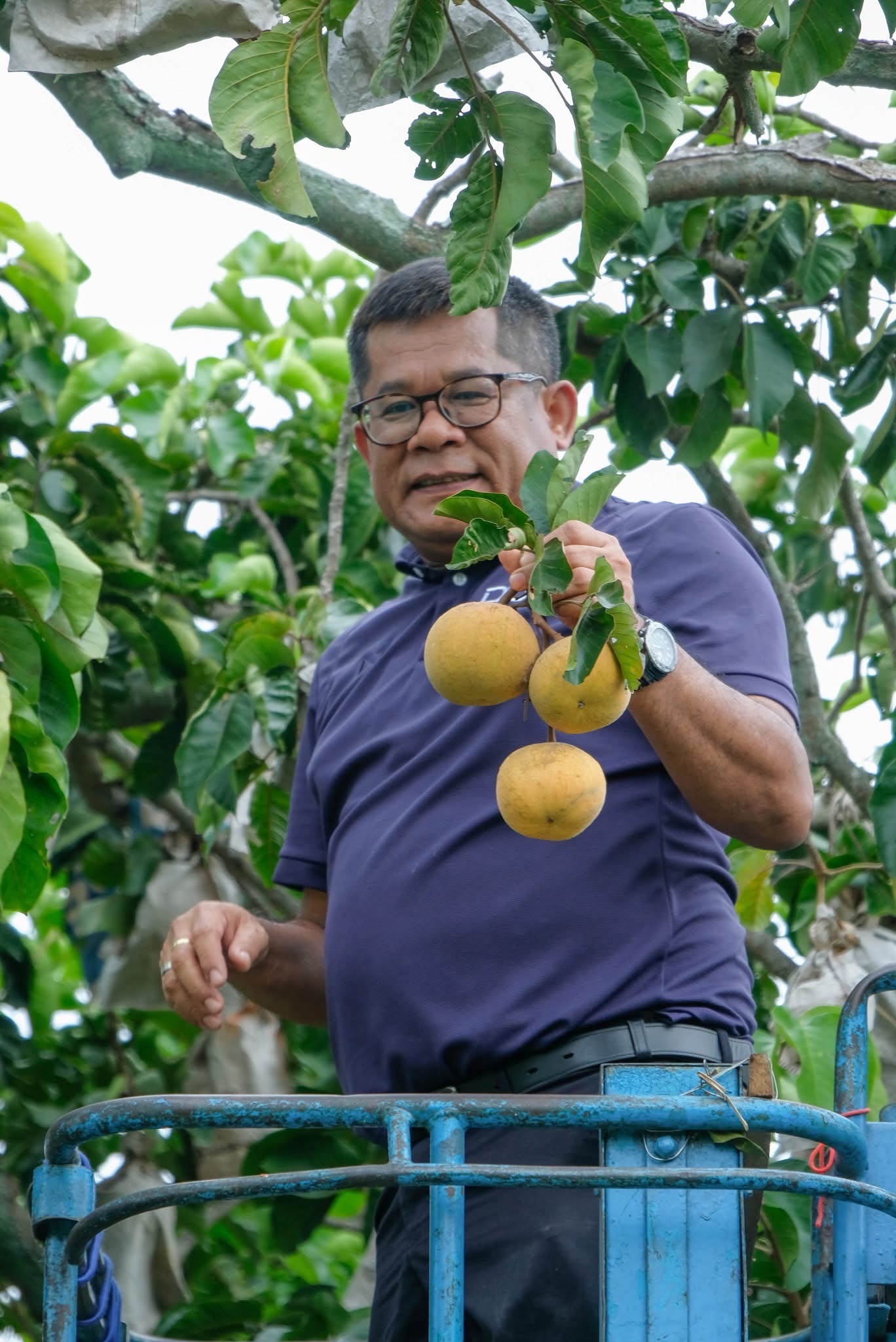 หวานสะดุ้ง S 14164000