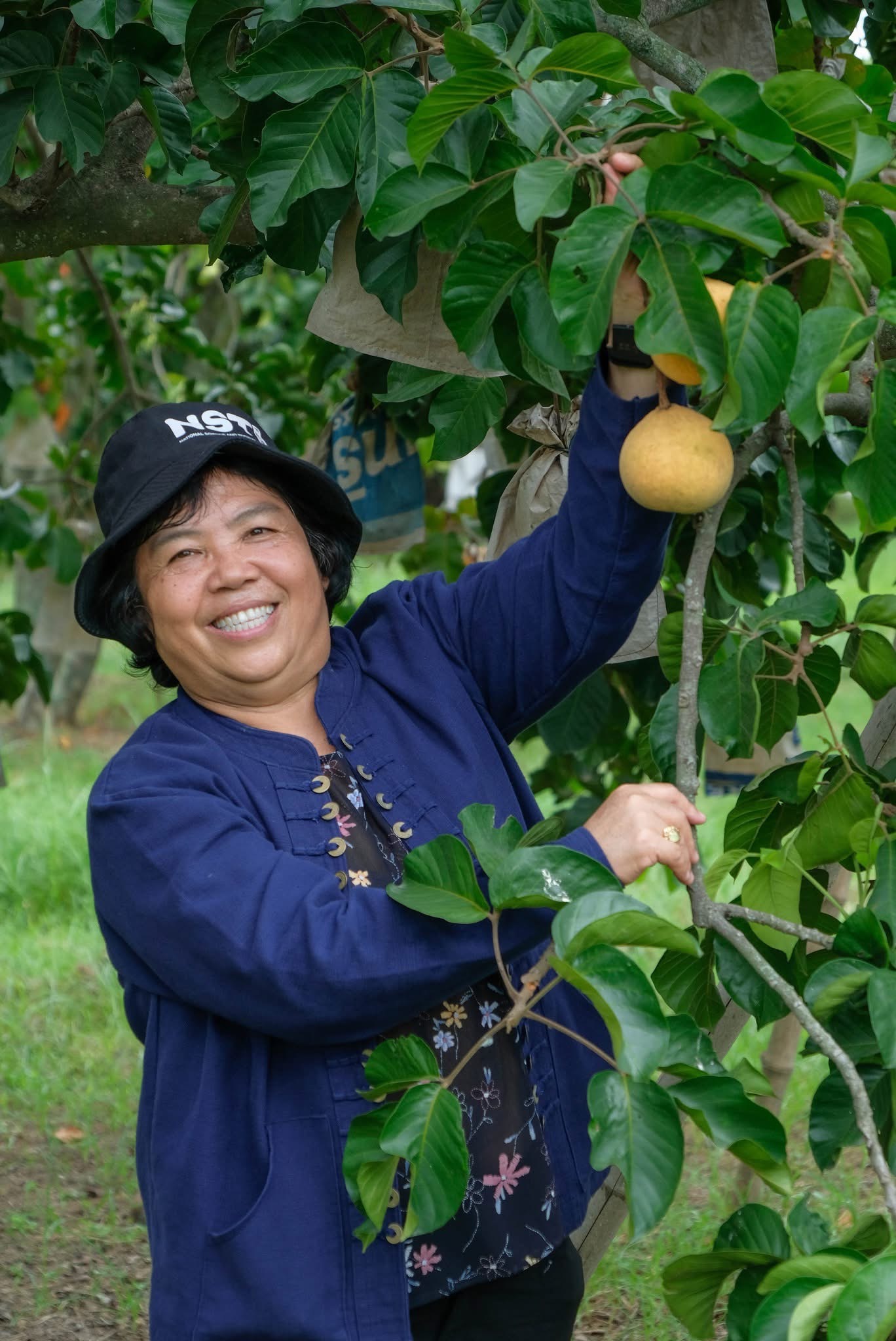 หวานสะดุ้ง S 14164005