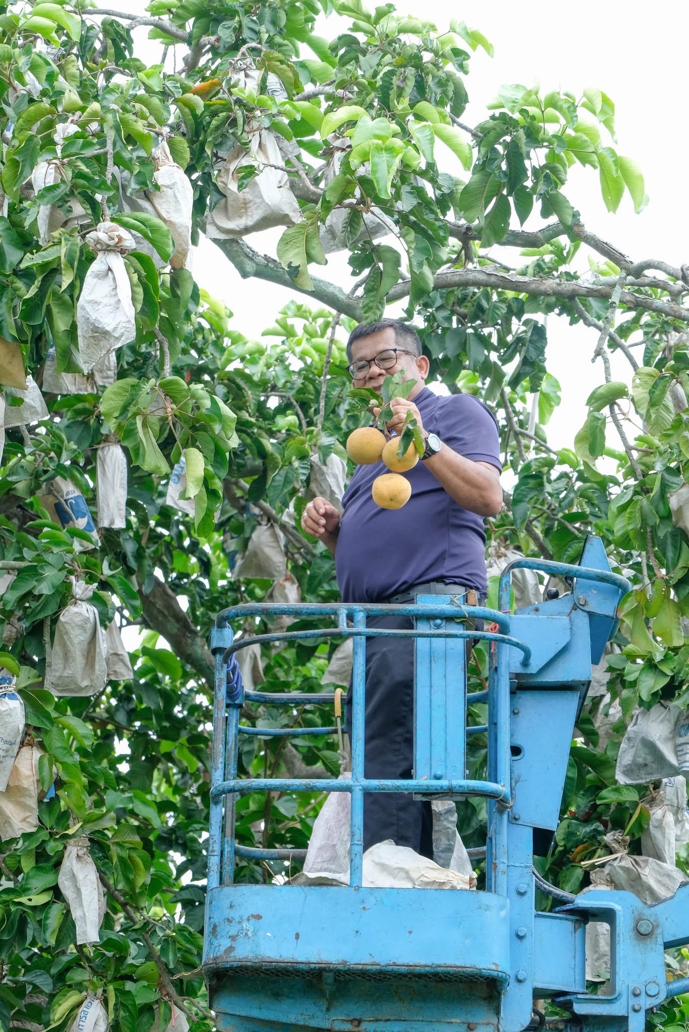 หวานสะดุ้ง S 14164006