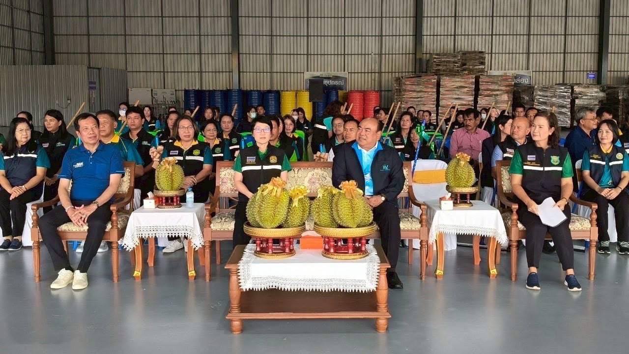 เกษตรร่วมกับจังหวัดชุมพร จัดBig Cleaning Day โรงคัดบรรจุทุเรียนยกระดับคุณภาพทุเรียนไทย สร้างความมั่นใจให้กับประเทศคู่ค้า “ทุเรียนไทย ทุเรียนคุณภาพดีที่สุดในโลก” 9 S 14270543
