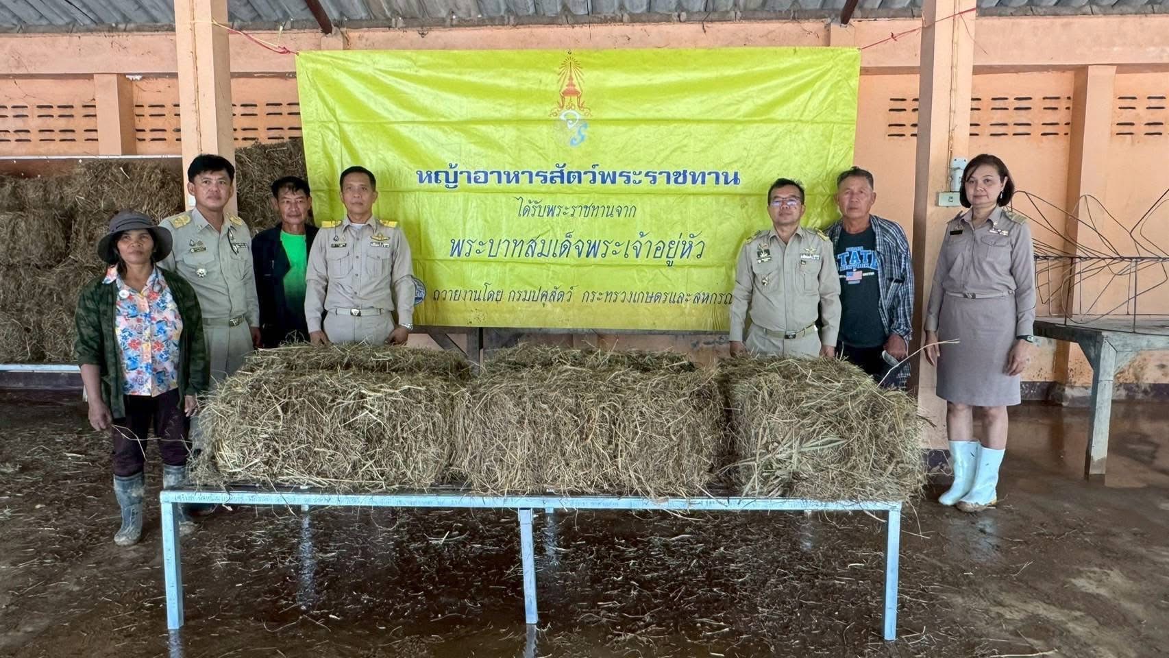 กรมปศุสัตว์ร่วมต้อนรับนายกรัฐมนตรี ลงพื้นที่ติดตามสถานการณ์อุทกภัย พื้นที่อำเภอพญาเม็งราย จังหวัดเชียงราย 7 S 14655550