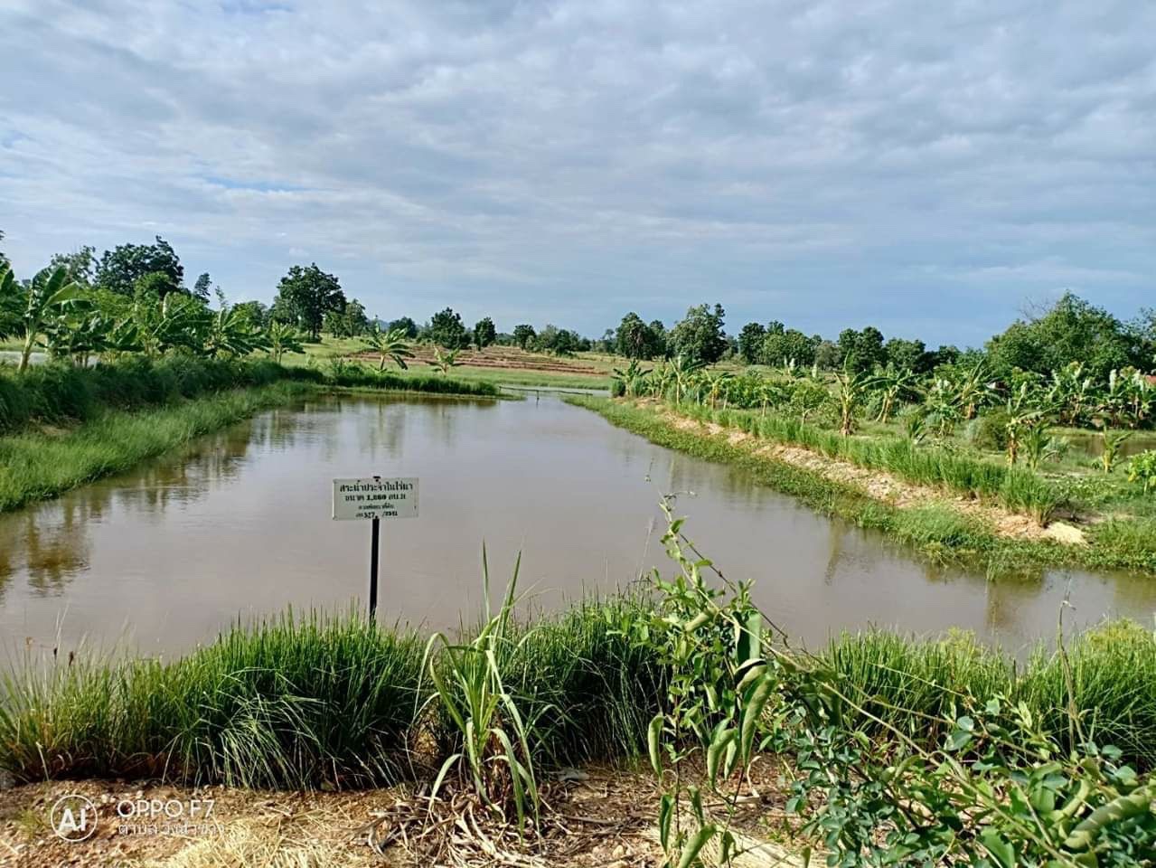 17 มิถุนายน วันทะเลทรายและภัยแล้งโลก กรมพัฒนาที่ดิน ชูแนวคิด ฟื้นฟูผืนดิน เปิดโอกาส สร้างอาชีพ 3 S 21889051