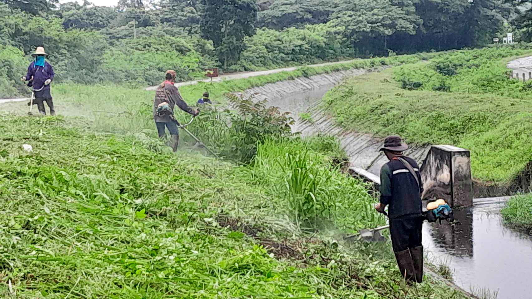 กรมชลฯ เผยยอดจ้างแรงงานแล้วกว่า 7.5 หมื่นคน จ่อถึงเป้า 8.4 หมื่นคนทั่วประเทศ 3 S 2531424