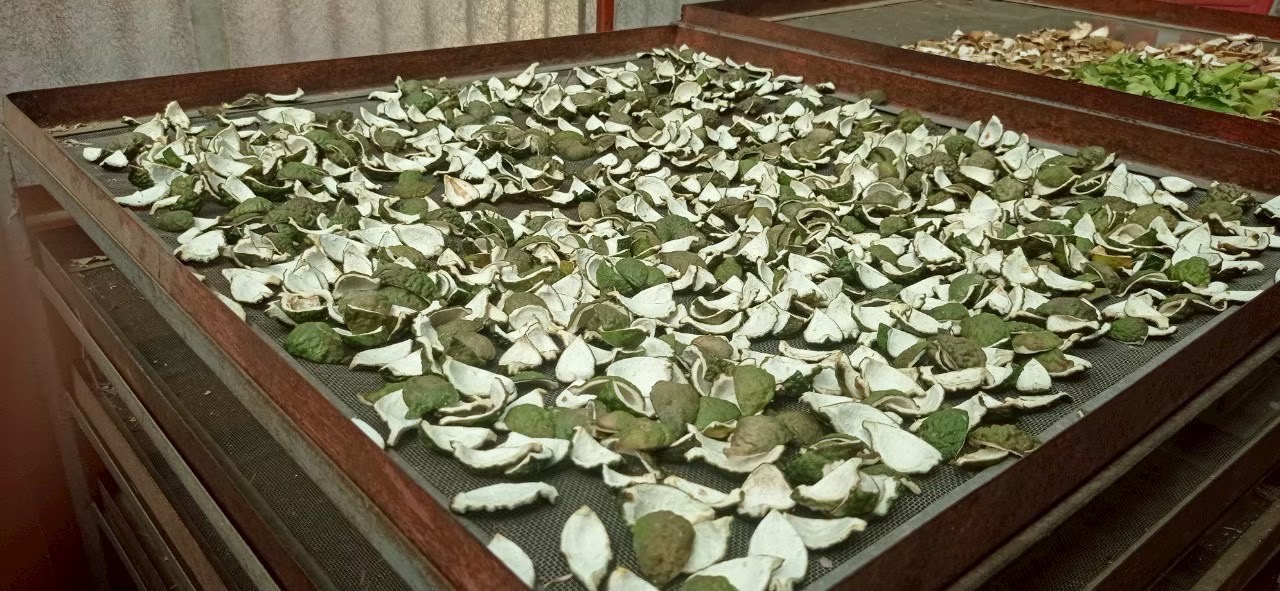 โครงการส่งเสริมและพัฒนาสินค้าเกษตรชีวภาพ หนุนเกษตรกรสร้างรายได้จากสมุนไพร-แมลงเศรษฐกิจ 8 S 273072138 0