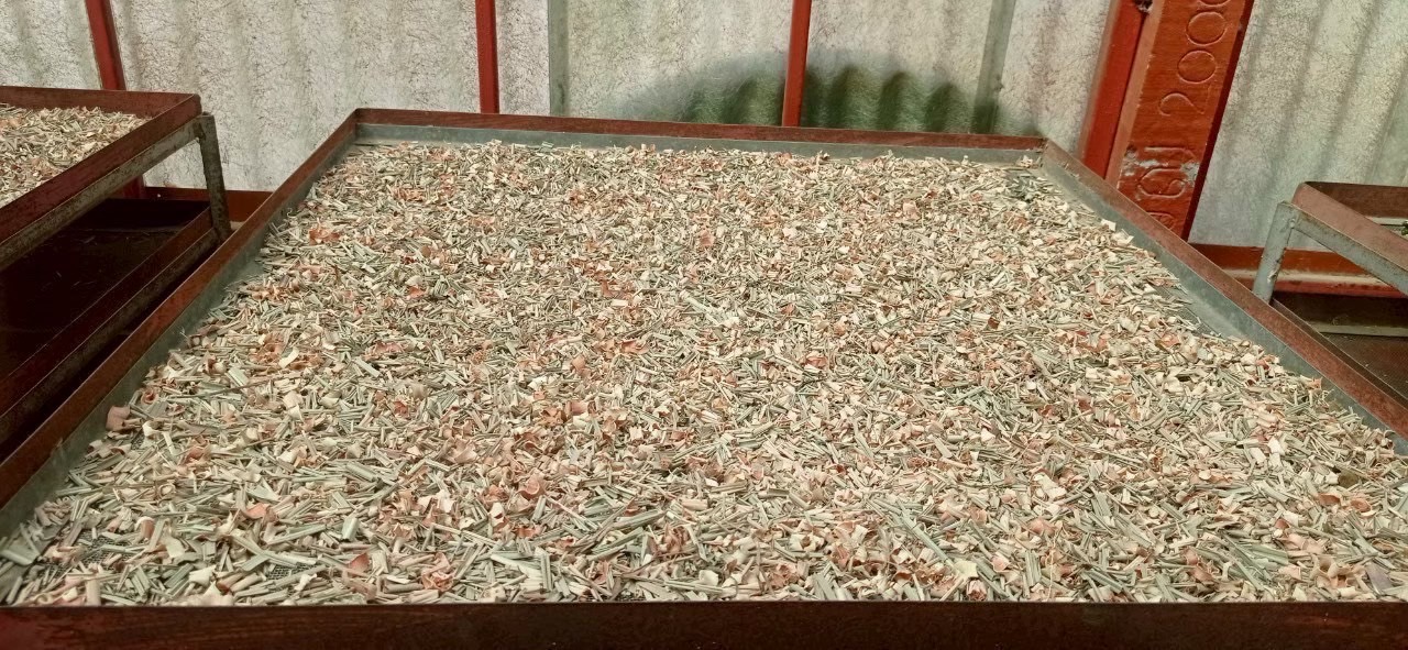 โครงการส่งเสริมและพัฒนาสินค้าเกษตรชีวภาพ หนุนเกษตรกรสร้างรายได้จากสมุนไพร-แมลงเศรษฐกิจ 10 S 273072140 0