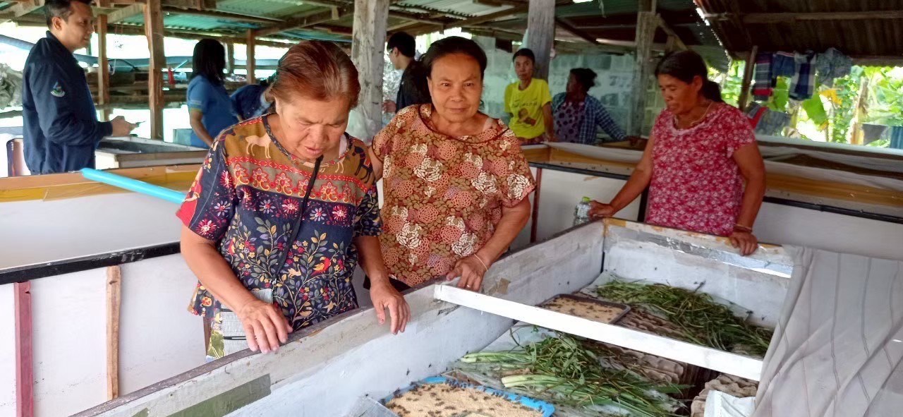 โครงการส่งเสริมและพัฒนาสินค้าเกษตรชีวภาพ หนุนเกษตรกรสร้างรายได้จากสมุนไพร-แมลงเศรษฐกิจ 12 S 273072143 0
