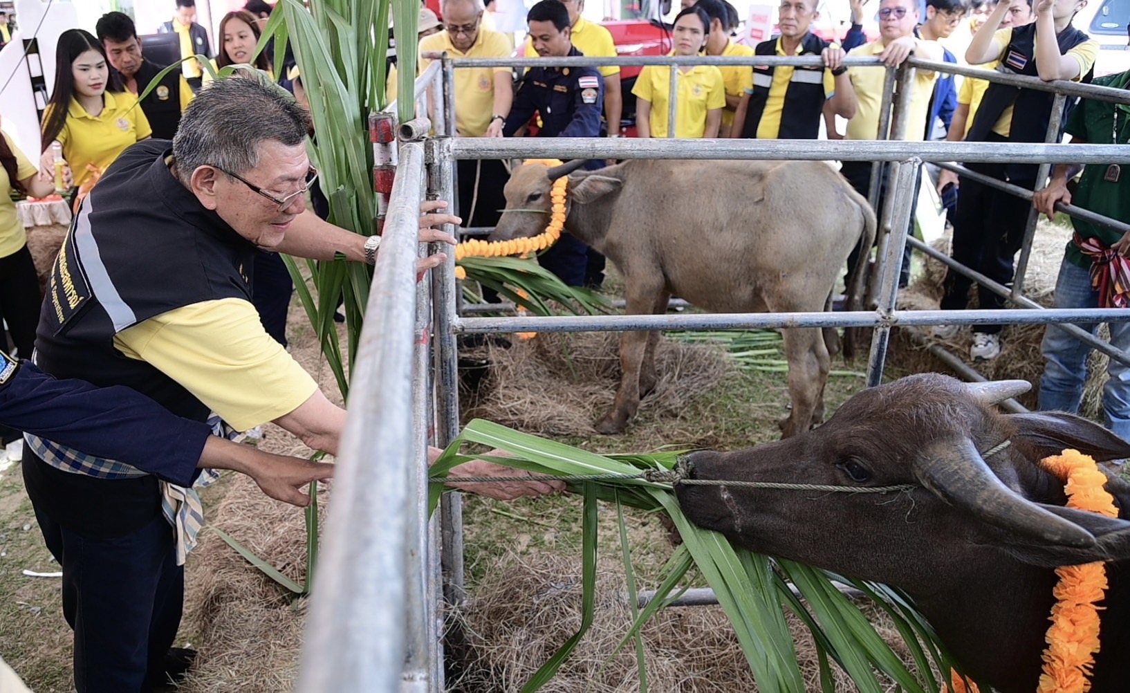 รมช.อิทธิ เปิดงาน Field Day สุพรรณบุรี มุ่งถ่ายทอดเทคโนโลยีขยายศักยภาพการผลิตเมล็ดพันธุ์ข้าว ปั้นเกษตรกรรายย่อย หนุนเกษตรแปลงใหญ่ ขับเคลื่อนข้าวคุณภาพดี สร้างโอกาสส่งออกสู่ตลาดโลก 11 S 37806125