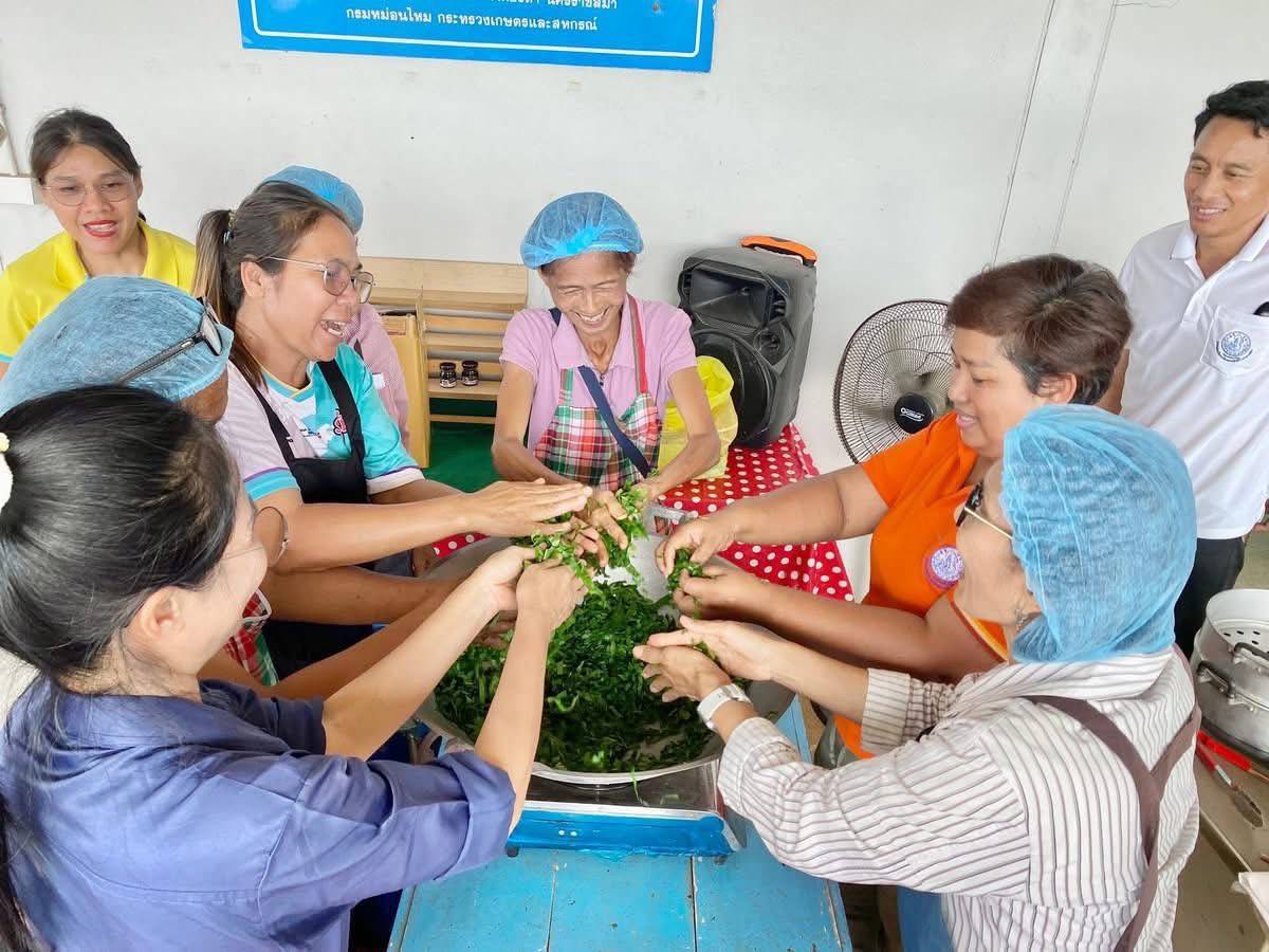 กรมหม่อนไหม เดินหน้ายกระดับเกษตรกรผู้ปลูกหม่อนเลี้ยงไหม หนุนแปรรูปสร้างมูลค่าเพิ่มสู่ตลาดยุคดิจิทัล 7 S 3907917