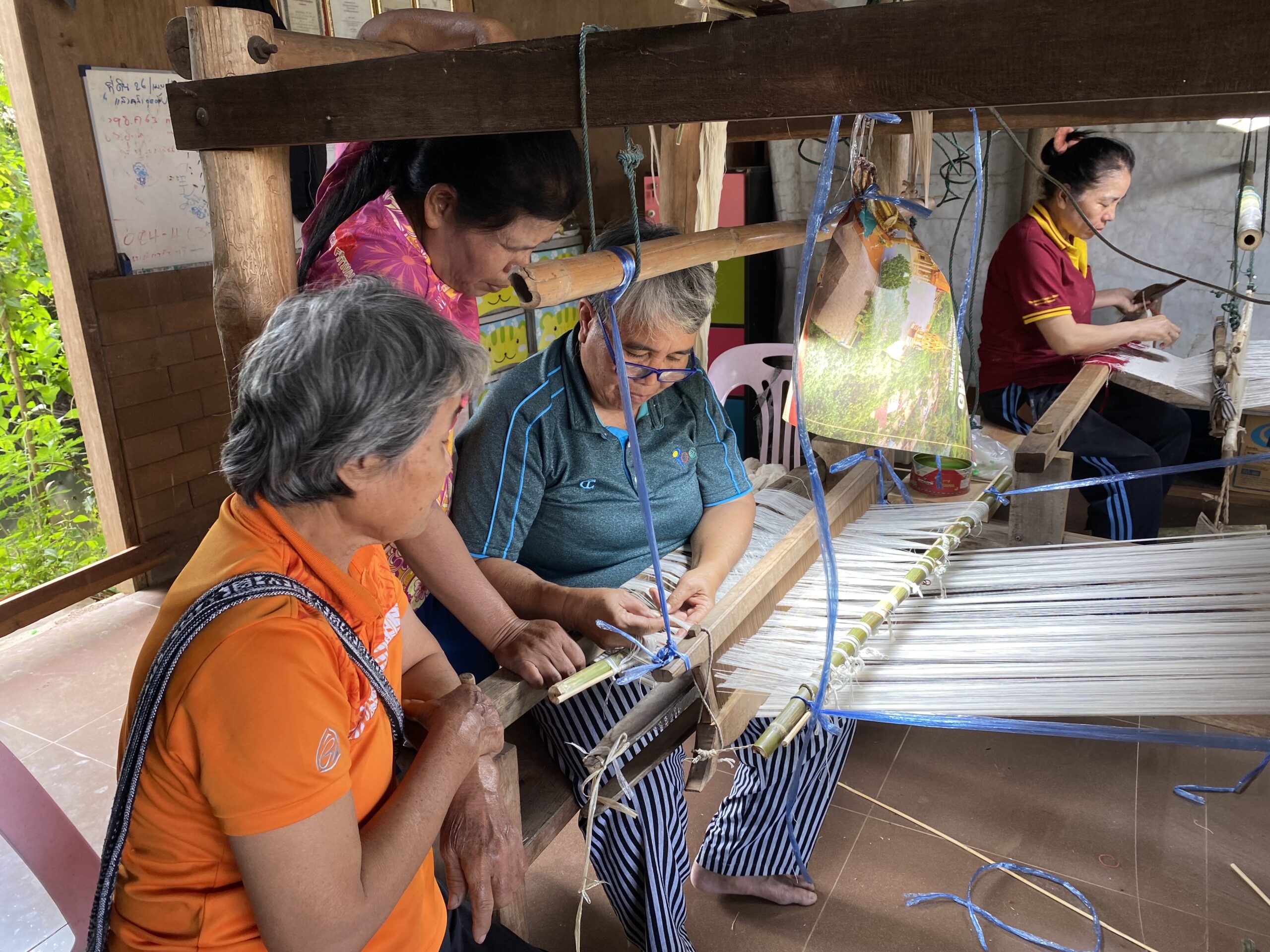 กรมหม่อนไหม ส่งเสริมเลี้ยง “ไหมอีรี”ดันสู่อาชีพเสริมที่มั่นคง สร้างอัตลักษณ์ชุมชน 7 S 3915906 scaled