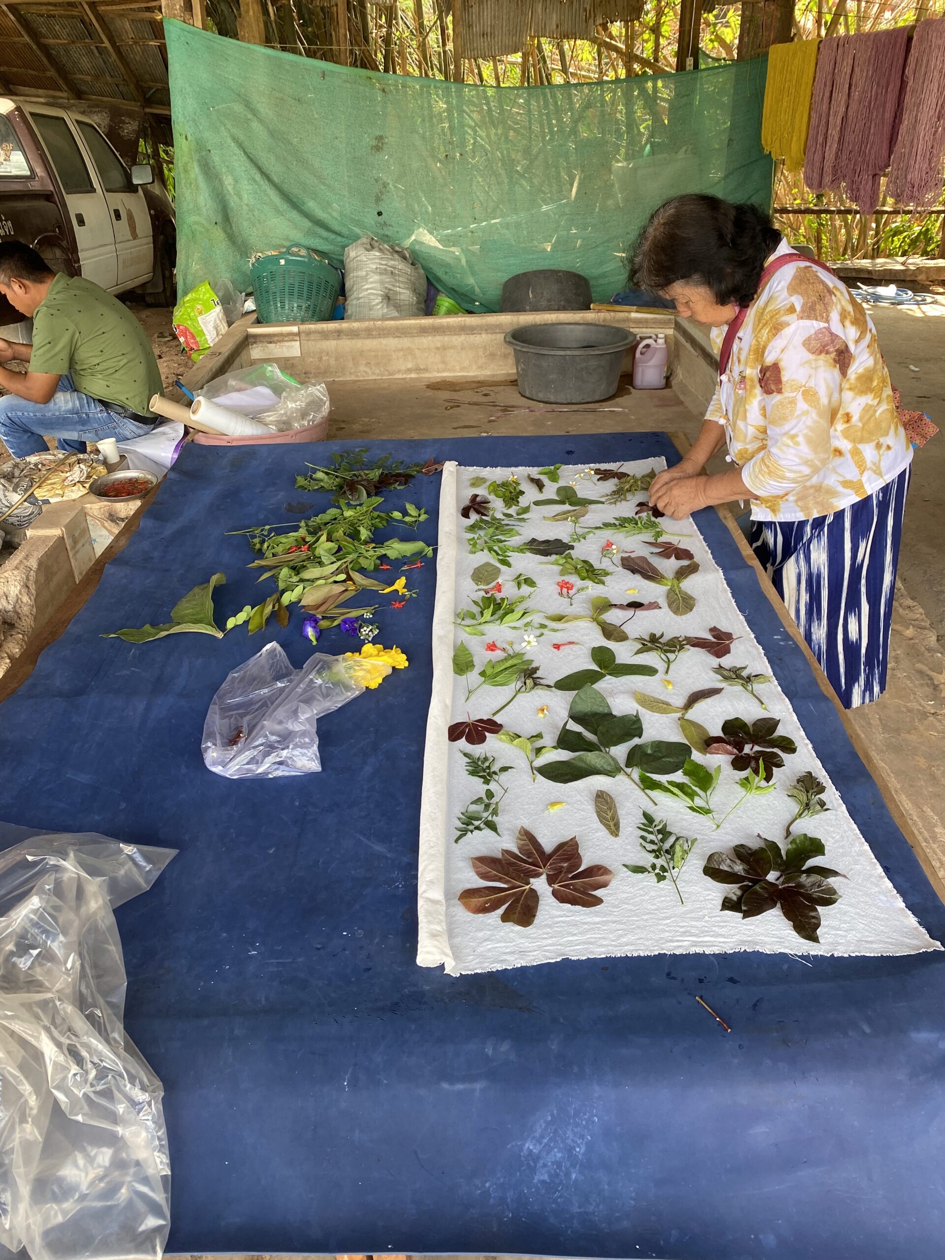 กรมหม่อนไหม ส่งเสริมเลี้ยง “ไหมอีรี”ดันสู่อาชีพเสริมที่มั่นคง สร้างอัตลักษณ์ชุมชน 9 S 3915914 scaled