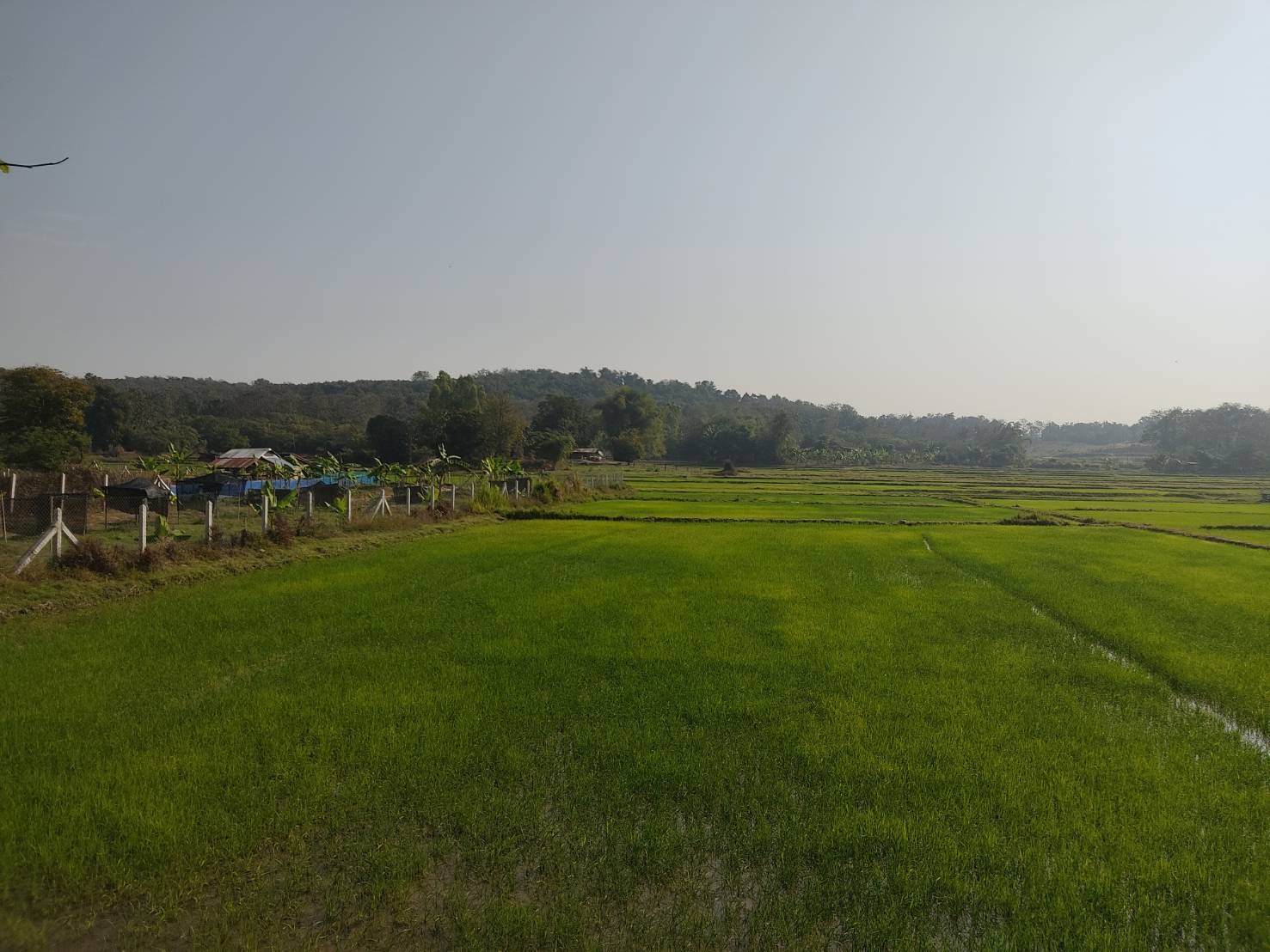 สศท.2 ติดตาม ‘โครงการรักษ์น้ำเพื่อพระแม่ของแผ่นดิน’ จ.อุตรดิตถ์ เกษตรกรมีรายได้ครัวเรือนเพิ่มขึ้น ลดรายจ่าย 7 S 51953690 0