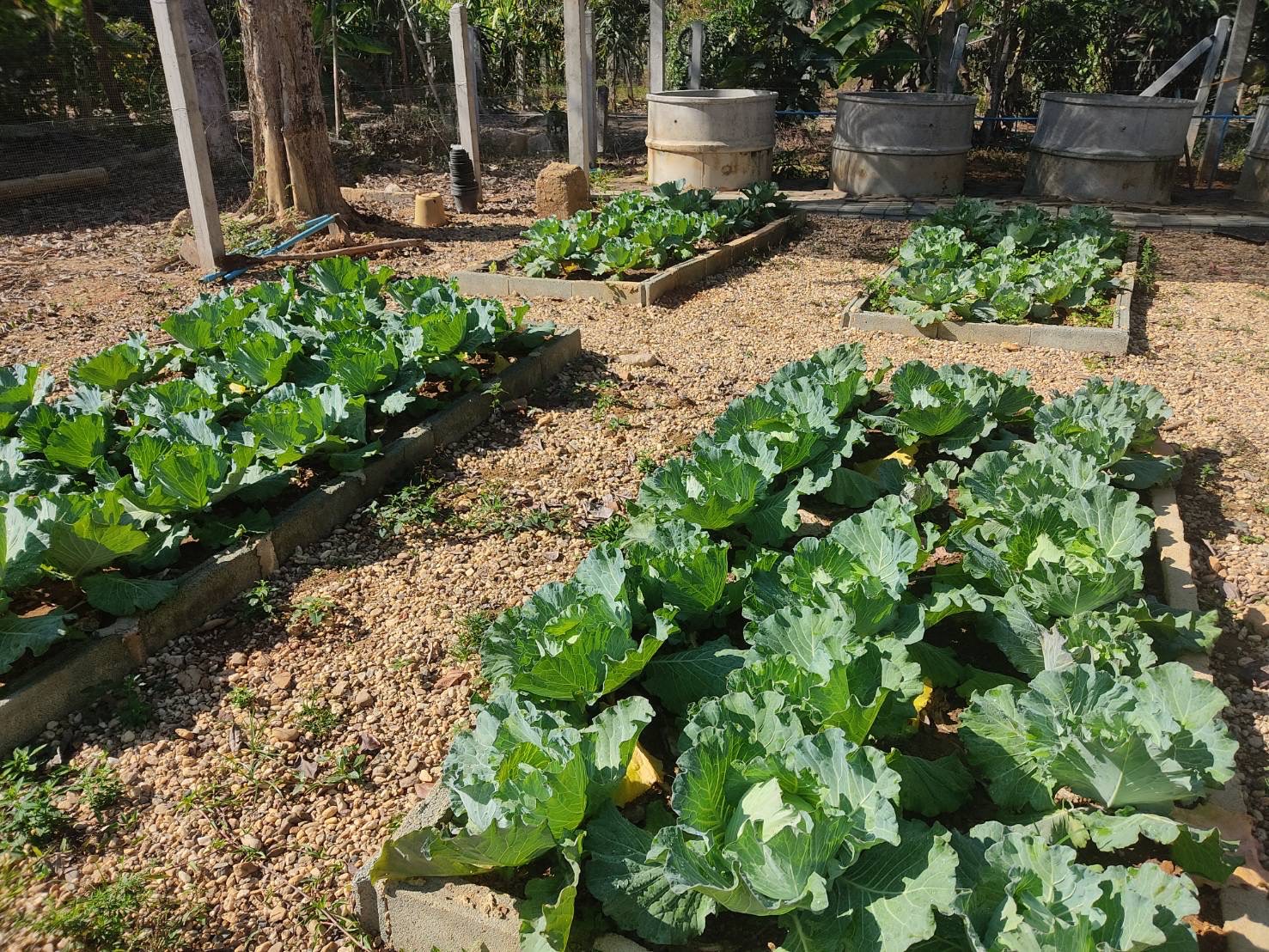 สศท.2 ติดตาม ‘โครงการรักษ์น้ำเพื่อพระแม่ของแผ่นดิน’ จ.อุตรดิตถ์ เกษตรกรมีรายได้ครัวเรือนเพิ่มขึ้น ลดรายจ่าย 3 S 51953692 0
